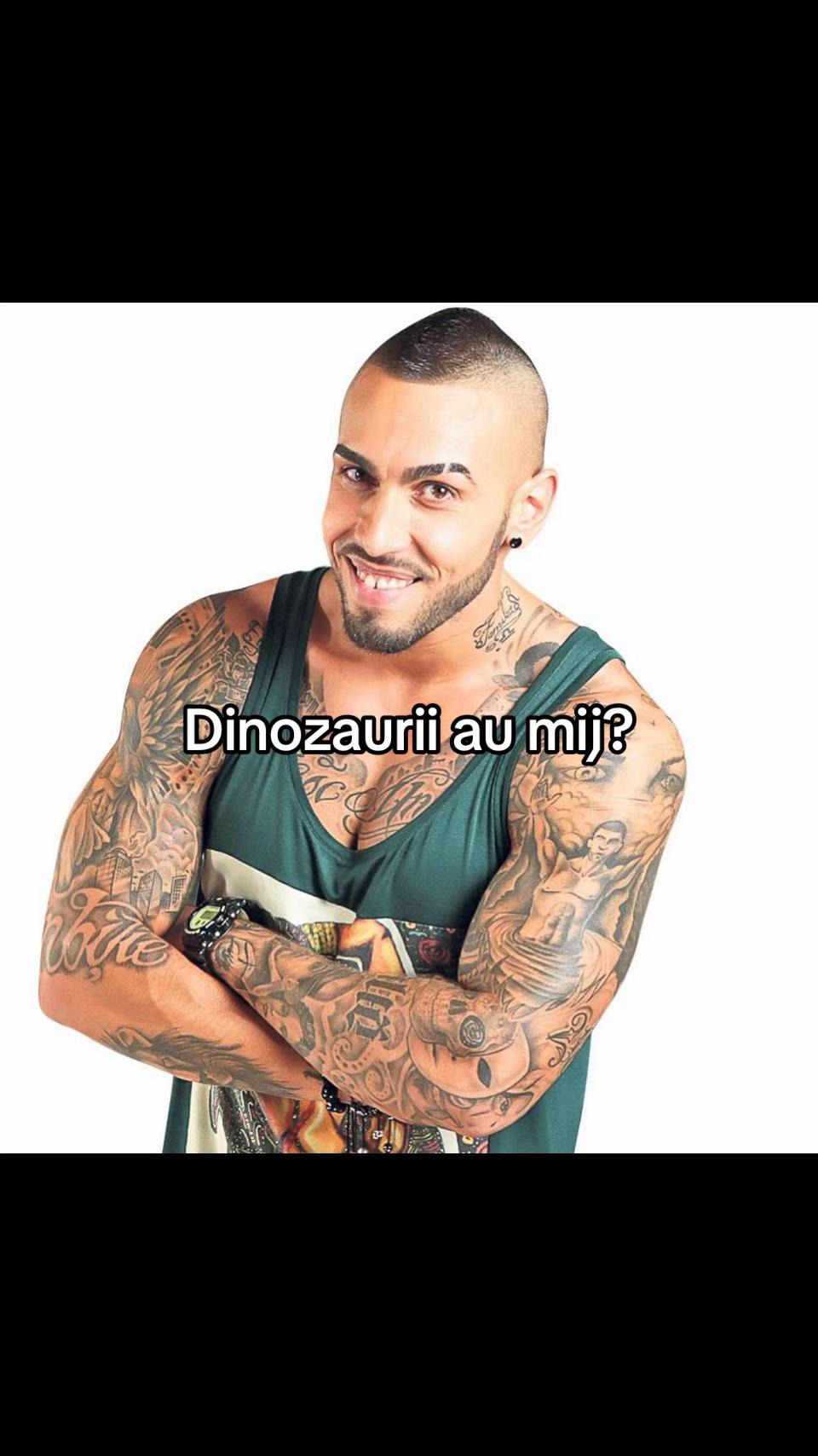 @_mirceacelbatran