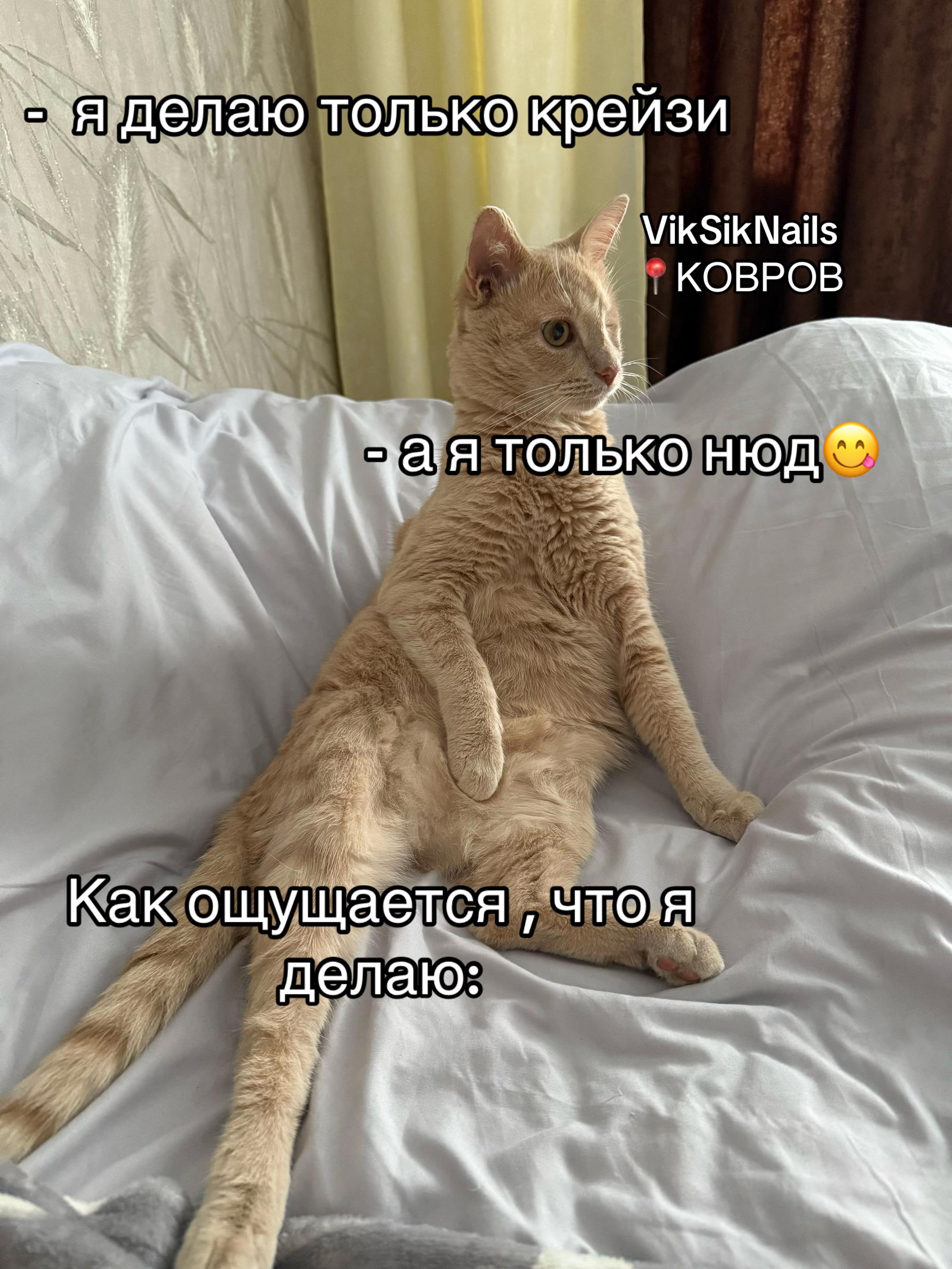 @VikSikNails | КОВРОВ