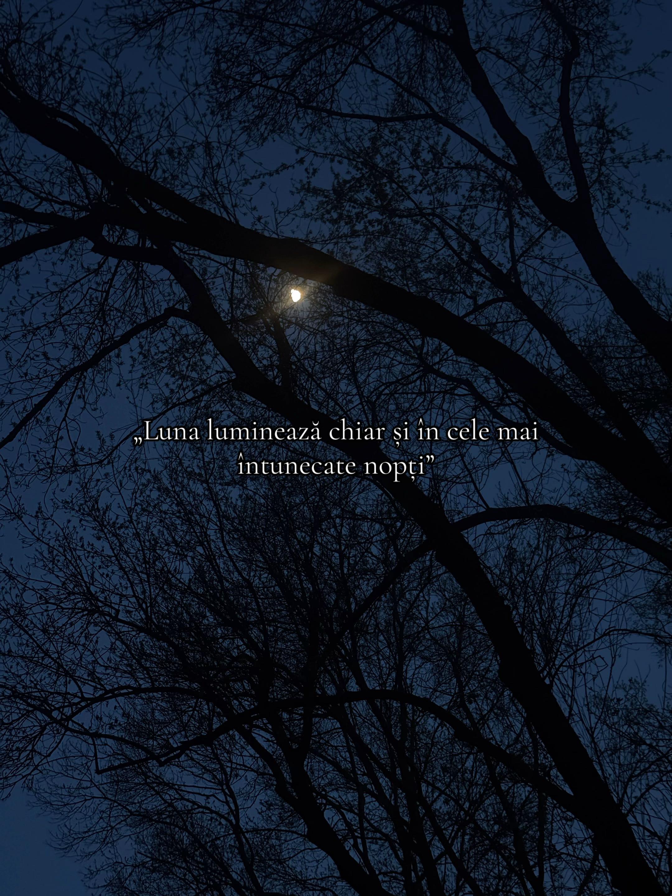 @livi)