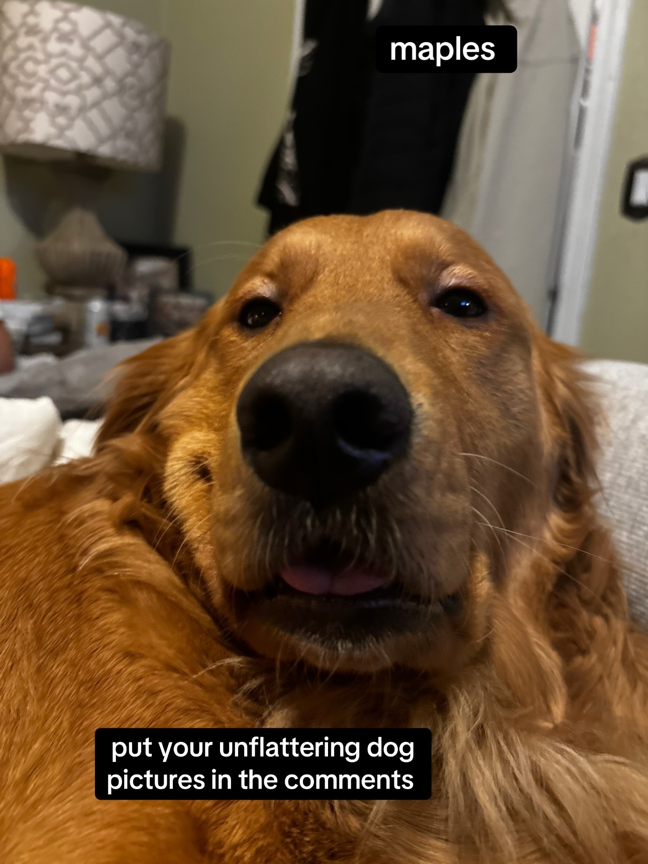 @LennyAndMaple