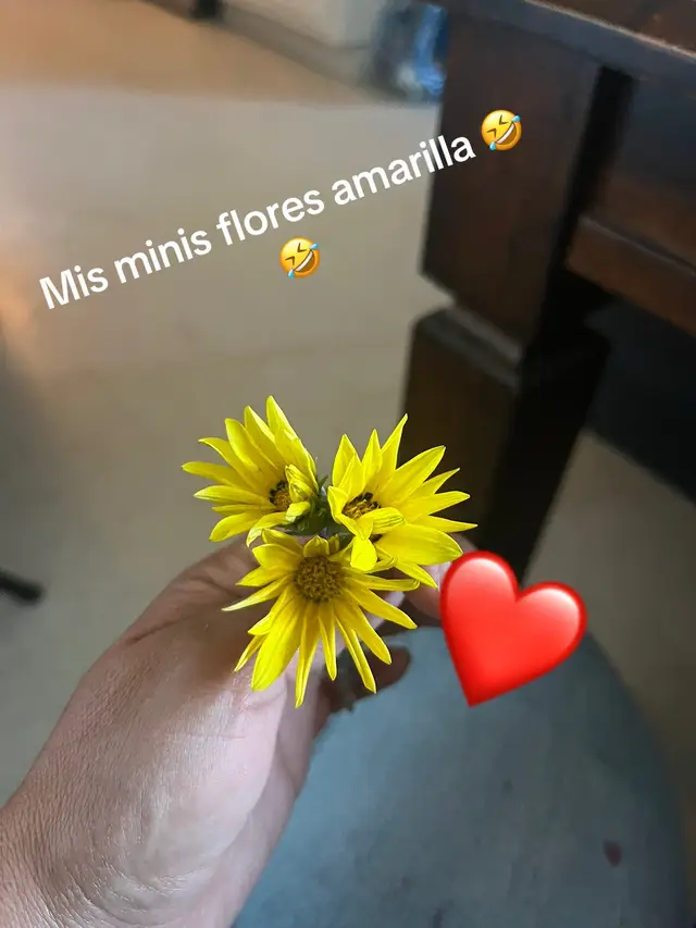 @Lupita 😘😘
