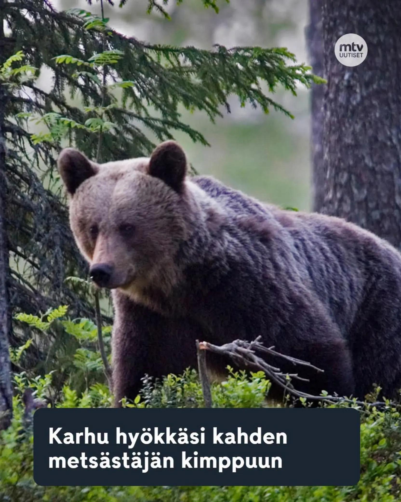 @Mikko Flanski