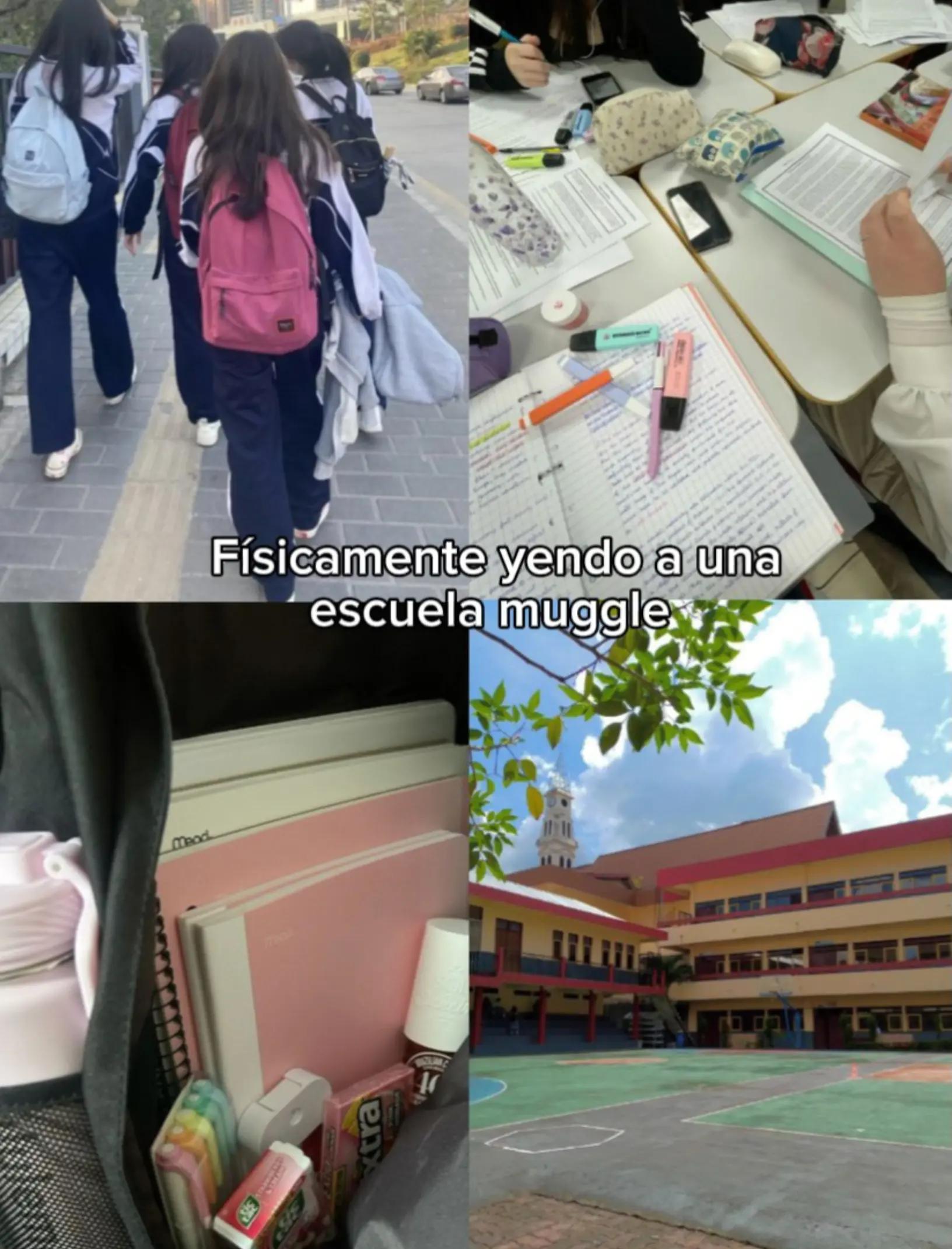 @𝒀𝐈𝒀𝐈