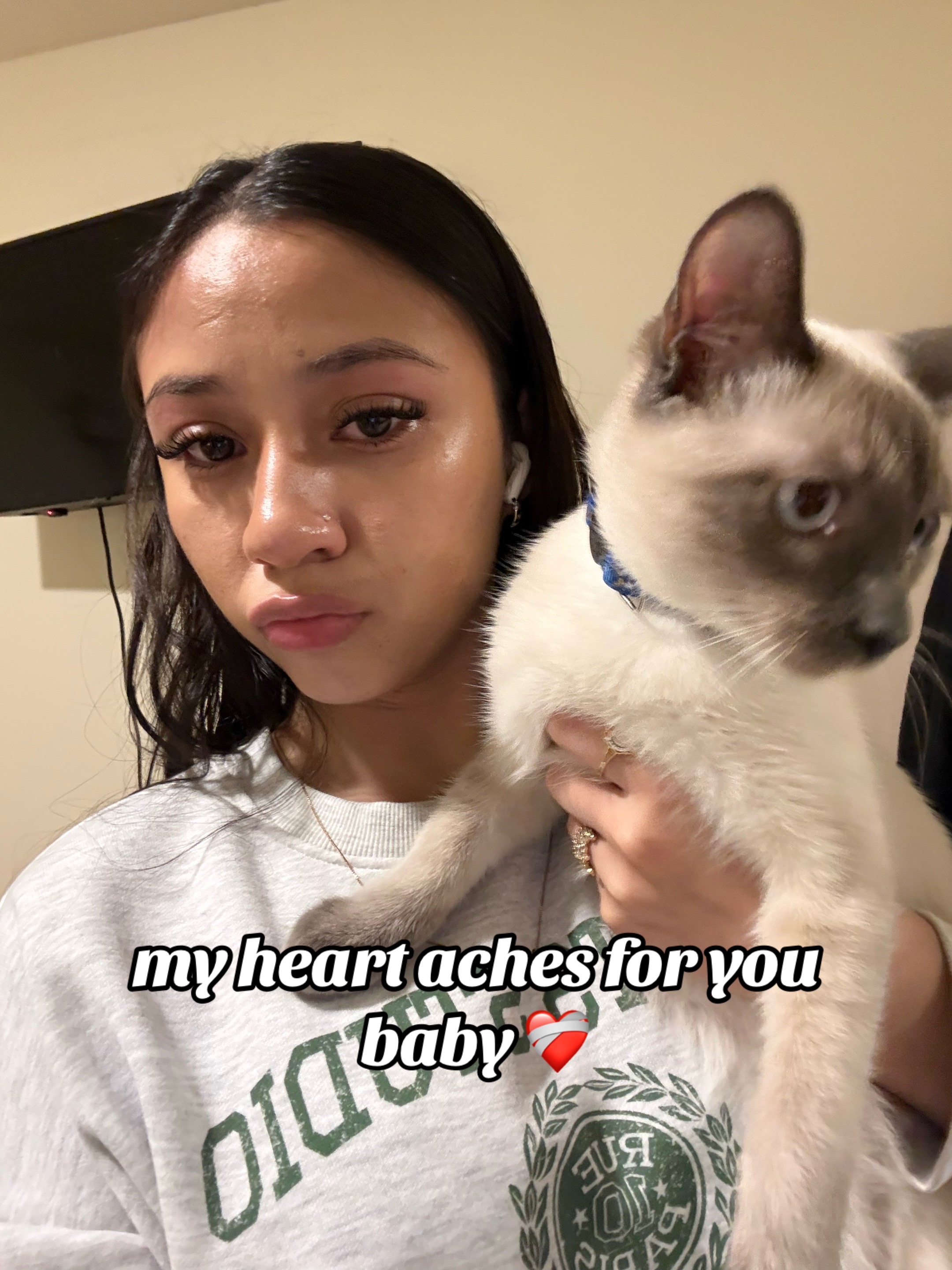 @vanessa