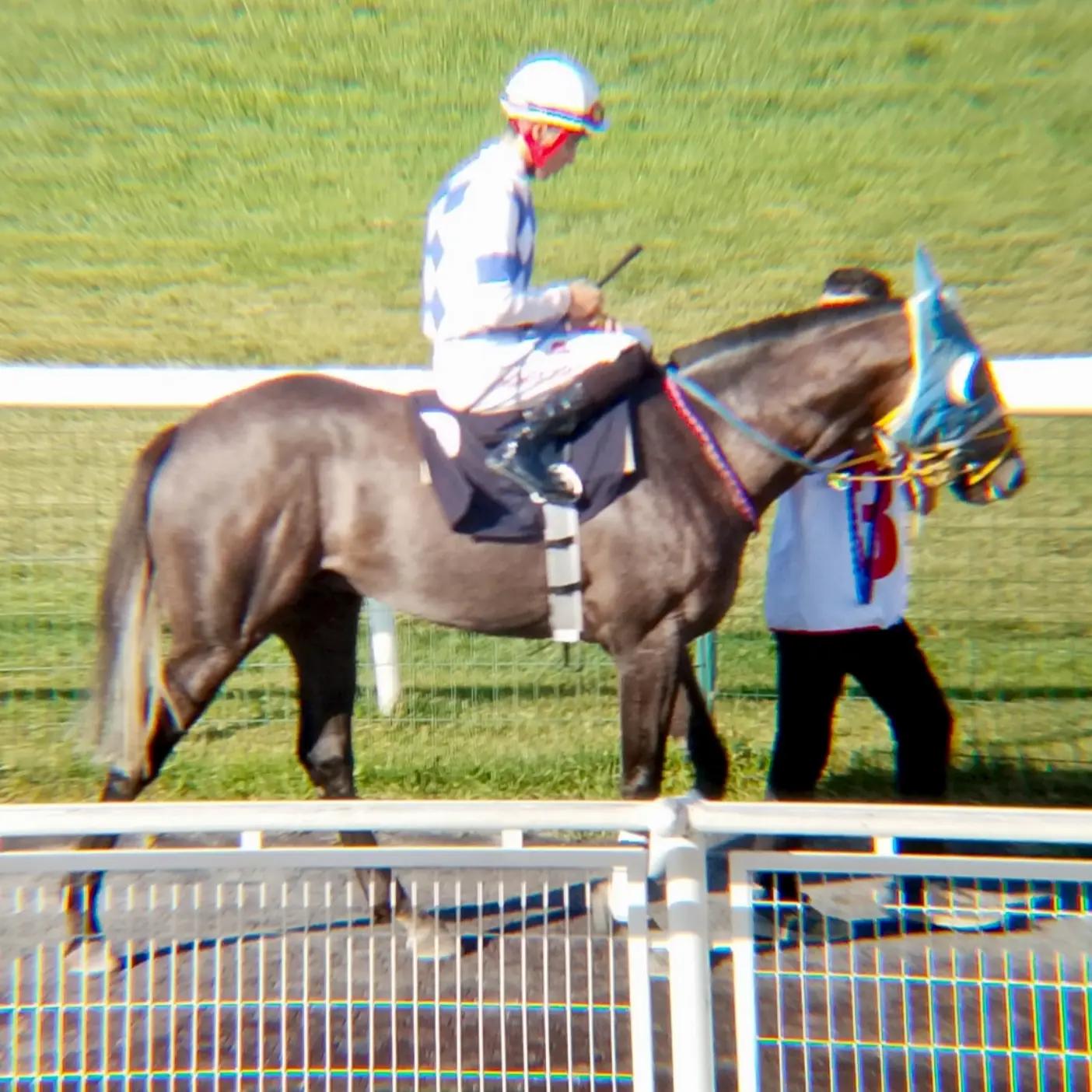 @brs horse racing