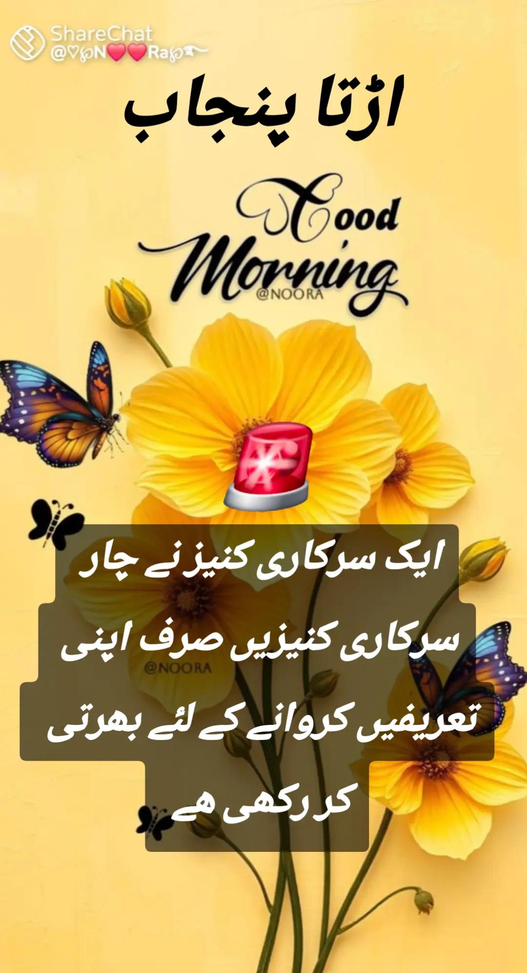 @اڈیالہ 804
