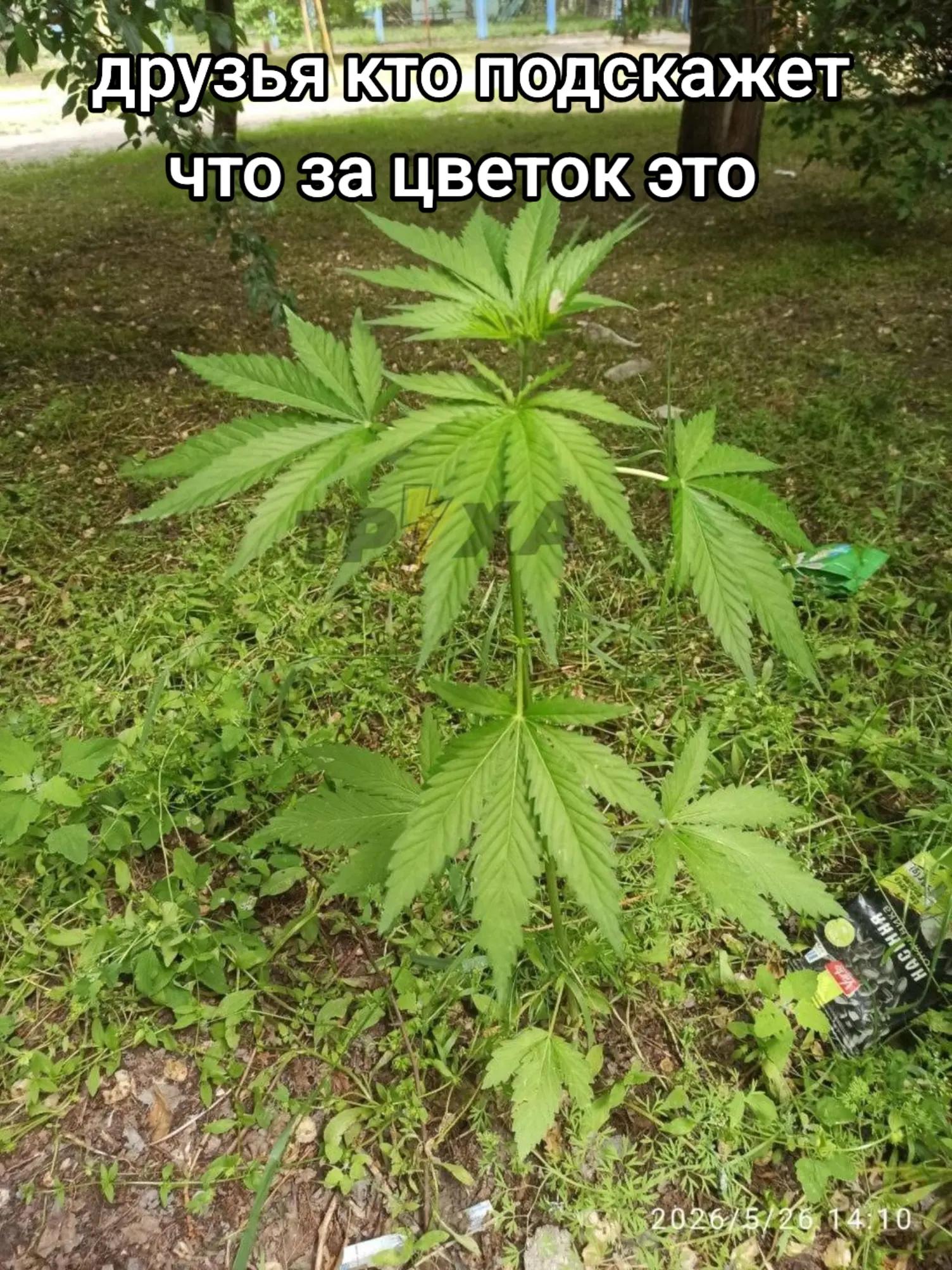 @💫💥🇺🇦 С.Б.У, 🇺🇦💫💥