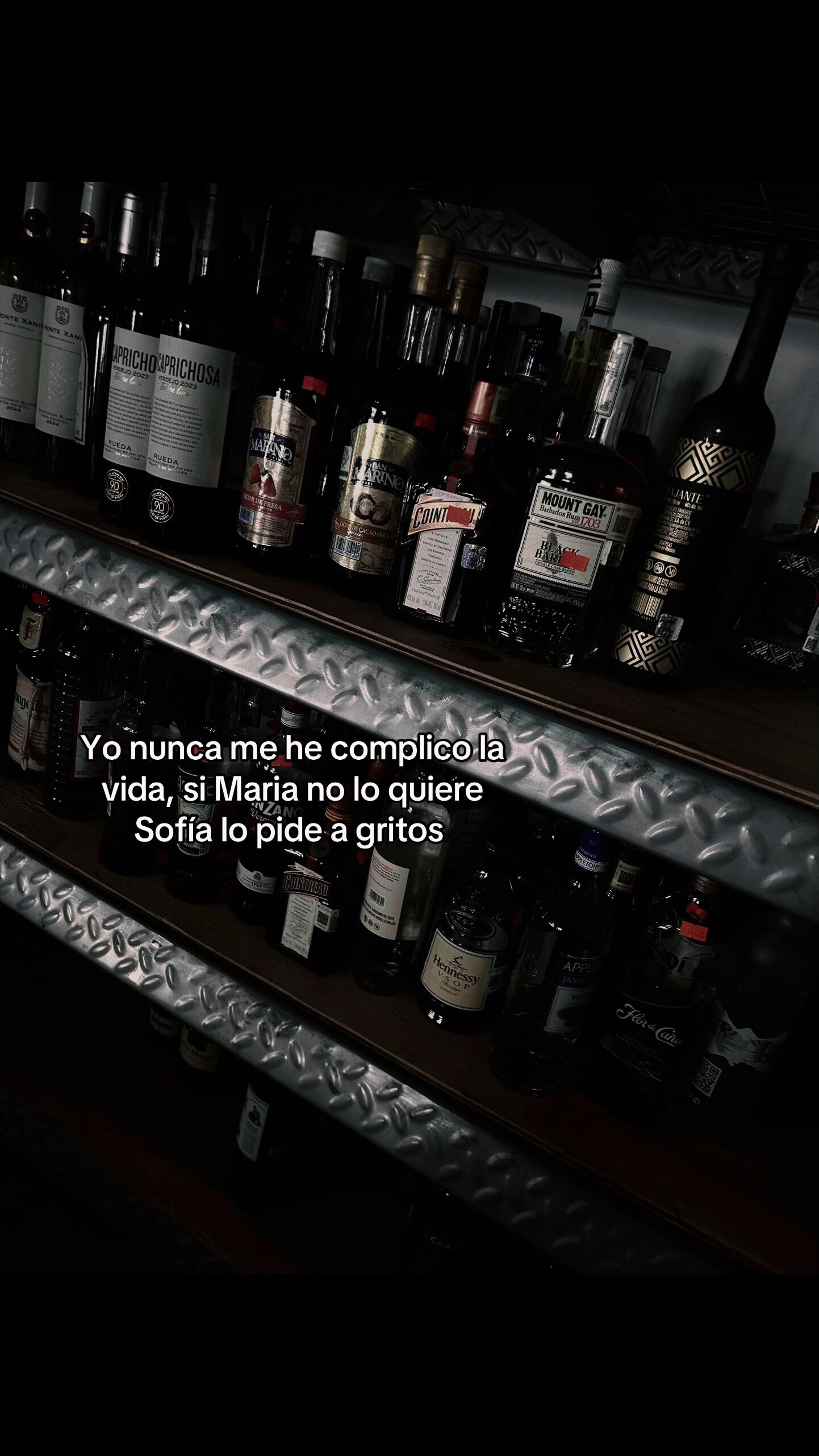@Rocco 🐺