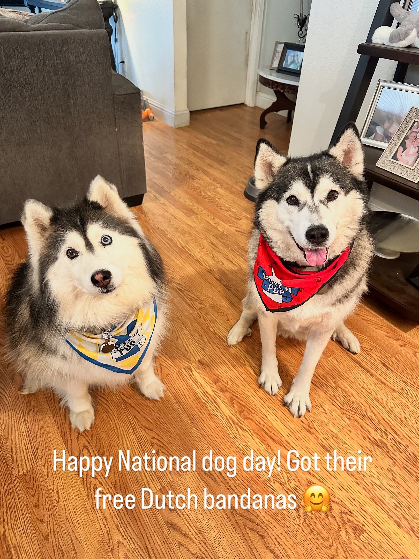 @Shasta & Aspen - Husky Sisters