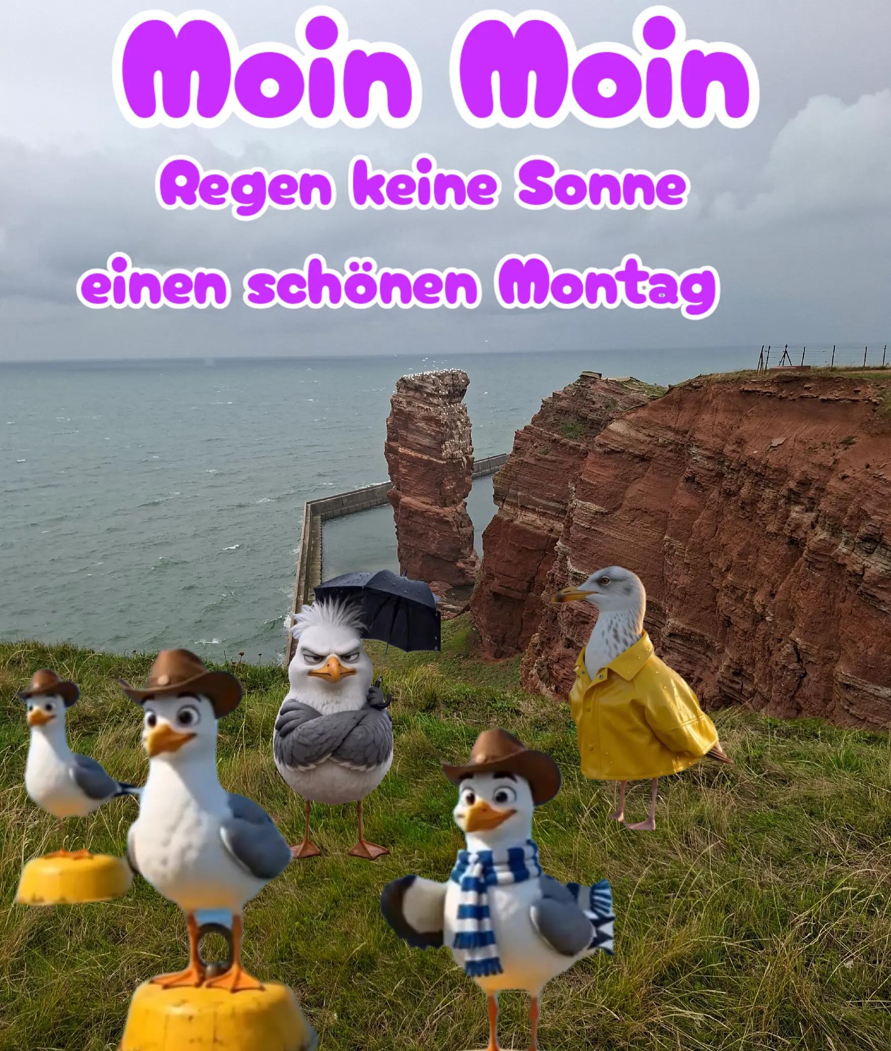 @geistlein12