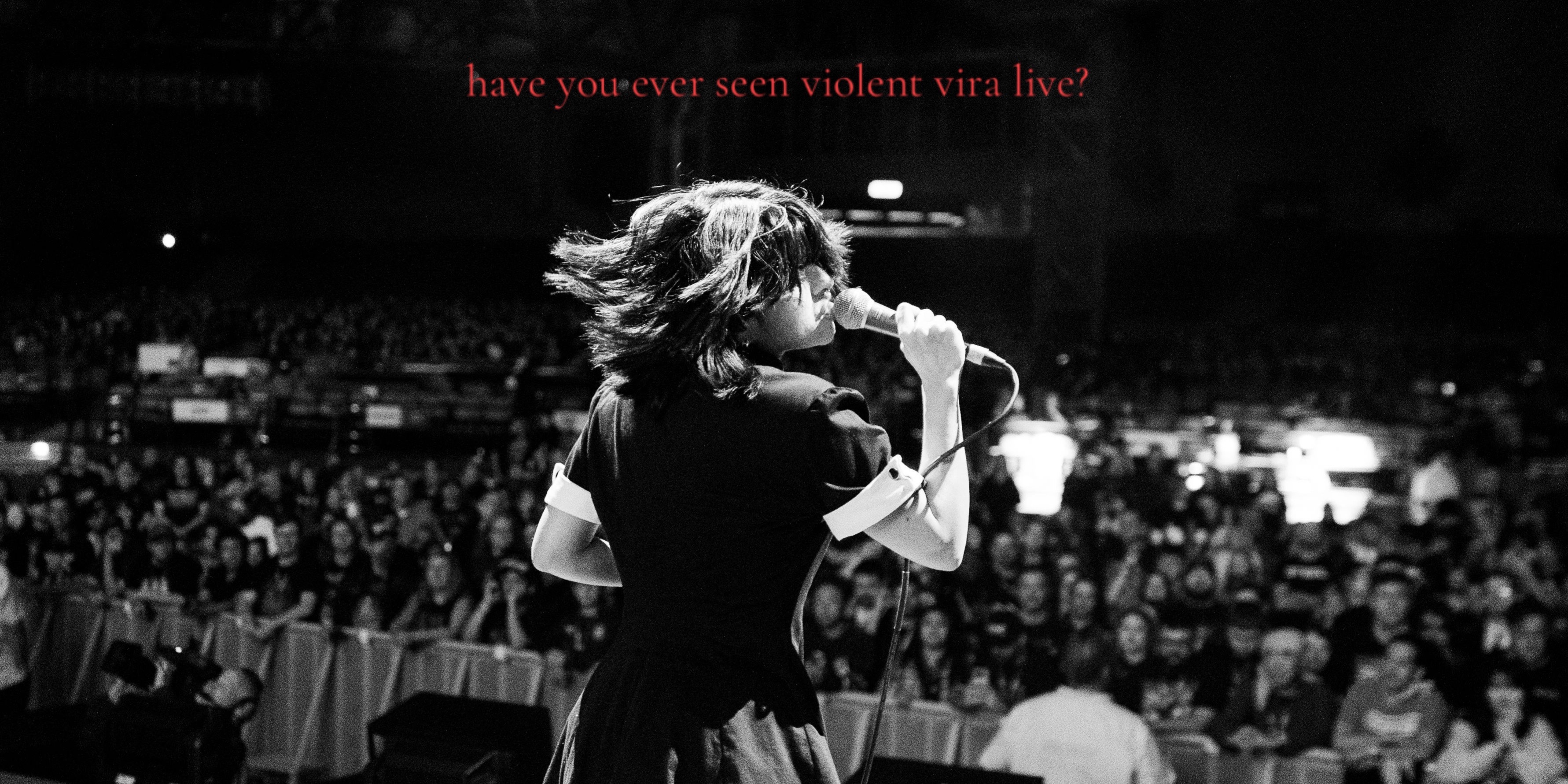 @violentvirahq