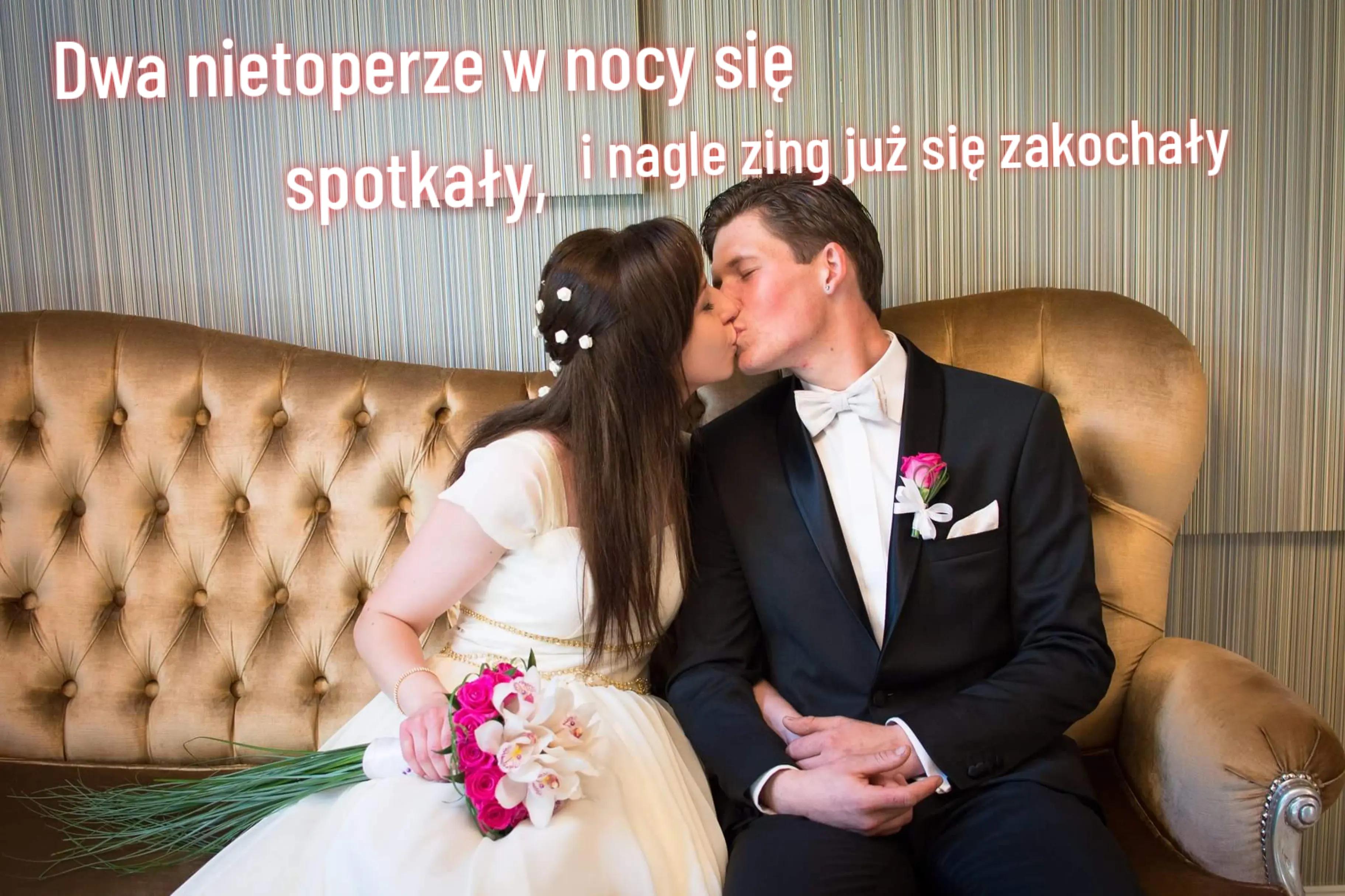 @aniaulbrych