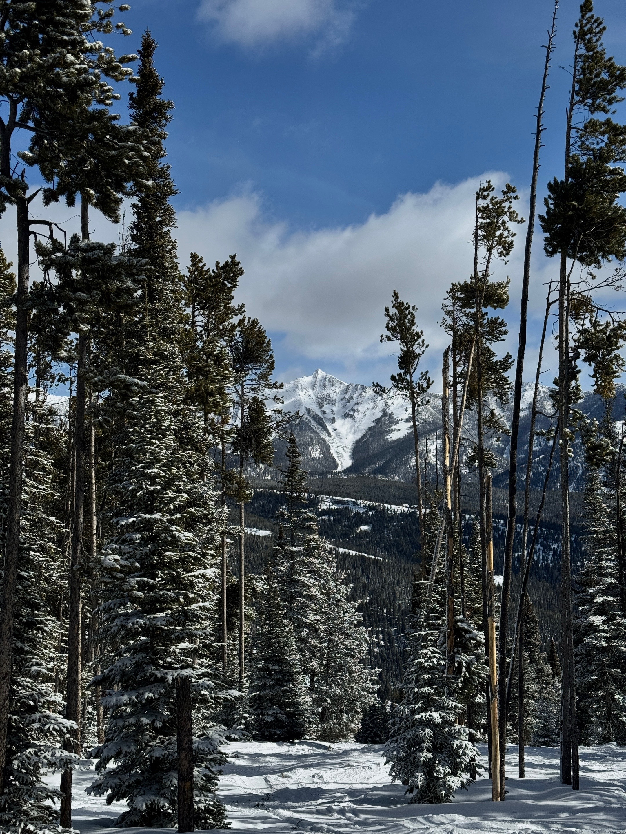 @VisitBigSky