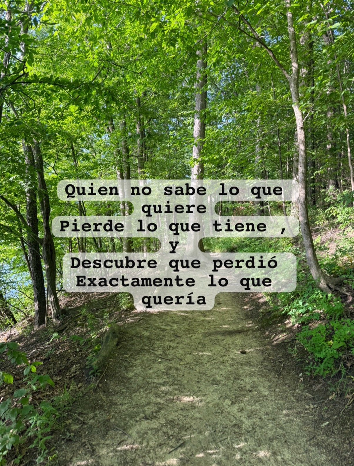 @🌺🌸🌹NES🌹🌸🌺