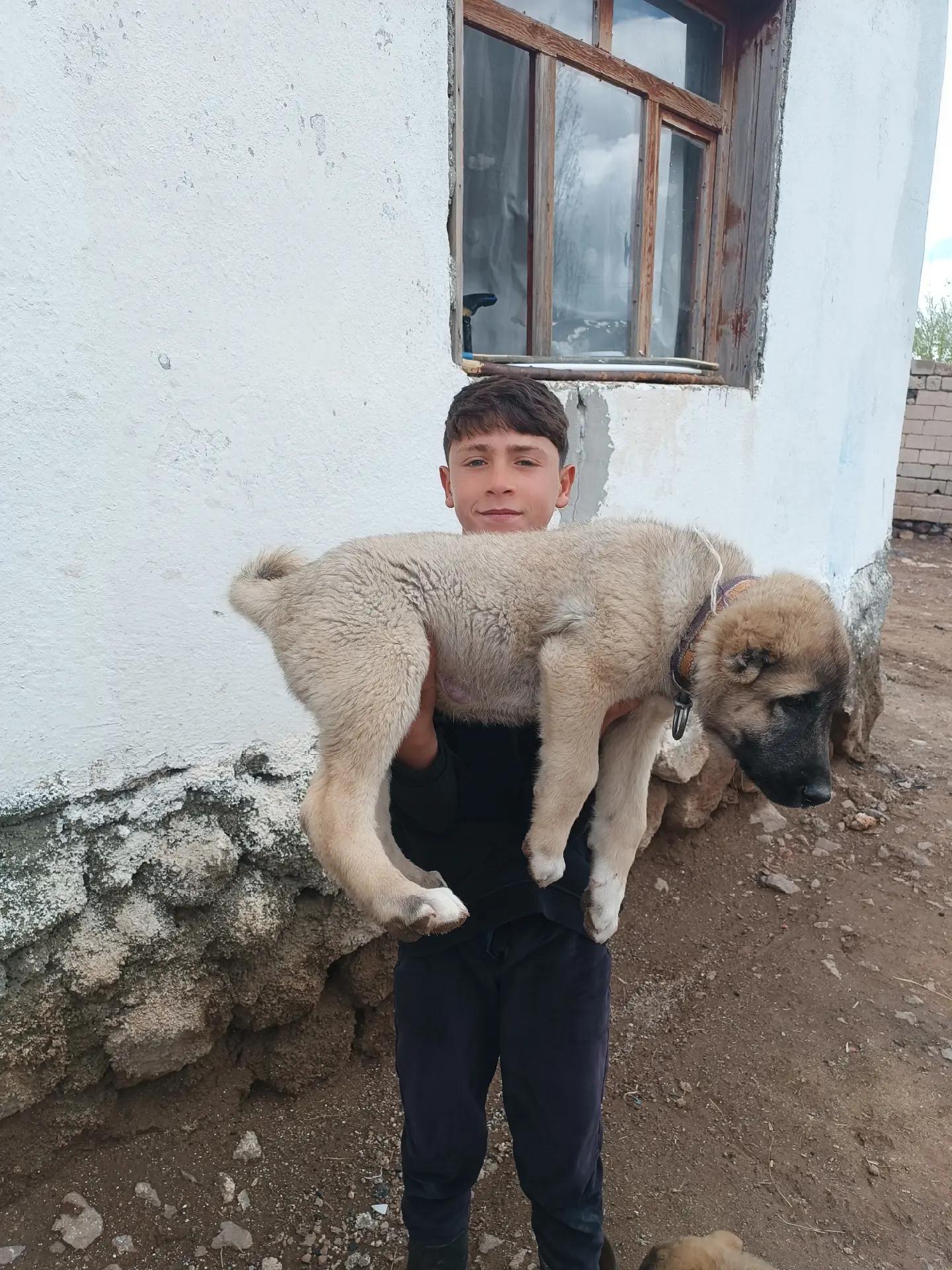 @Yusuf saldık