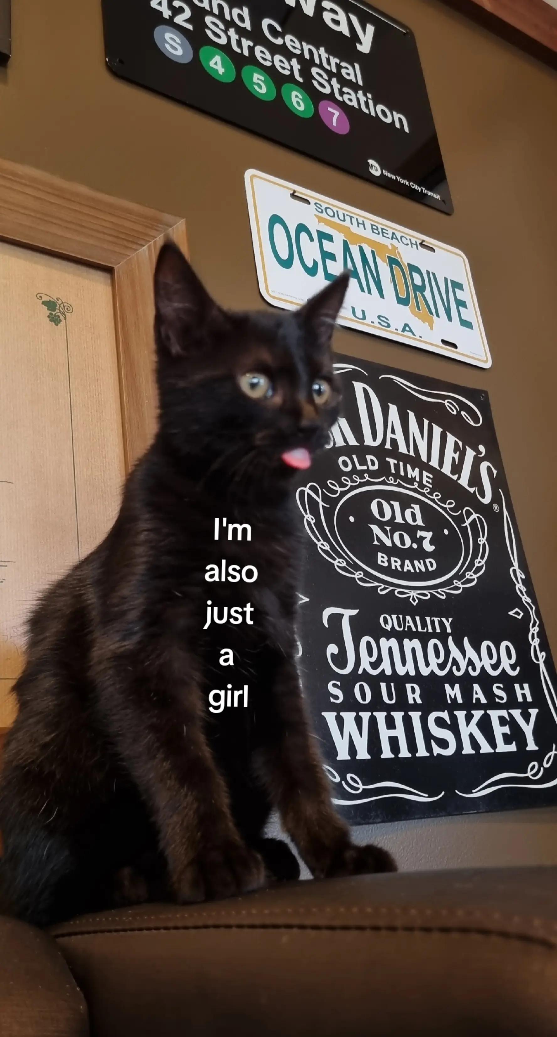 @.-..