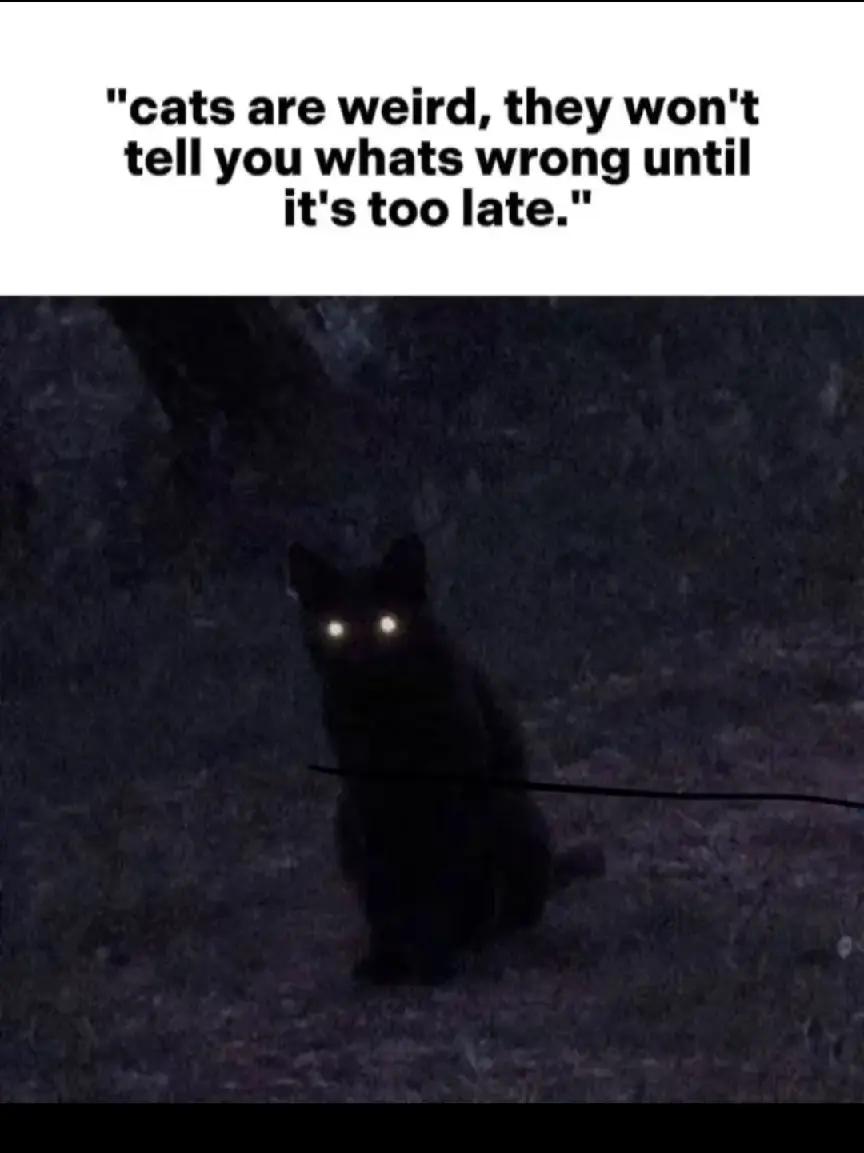 @✮