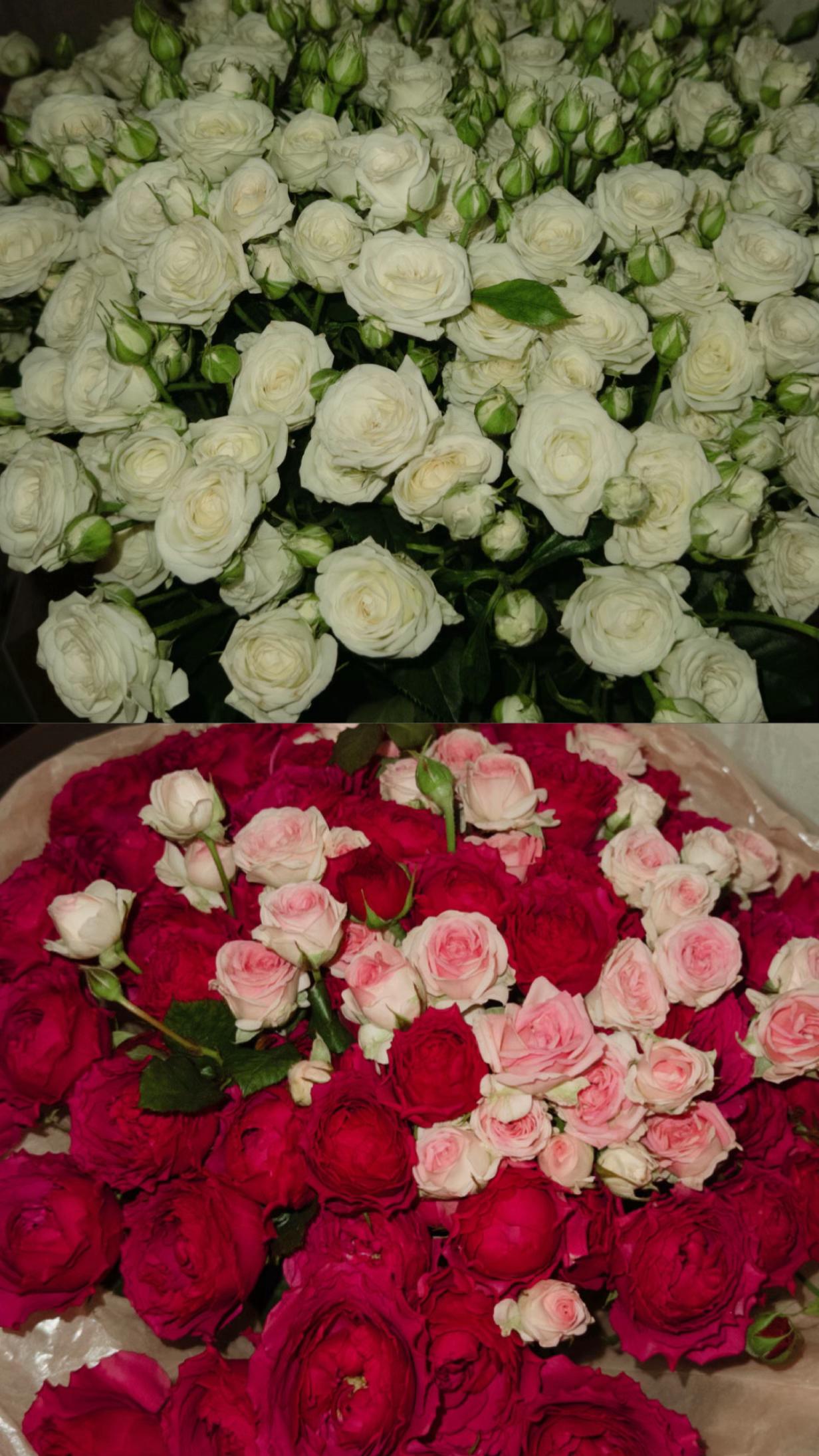 @тгк:_lerrawx_