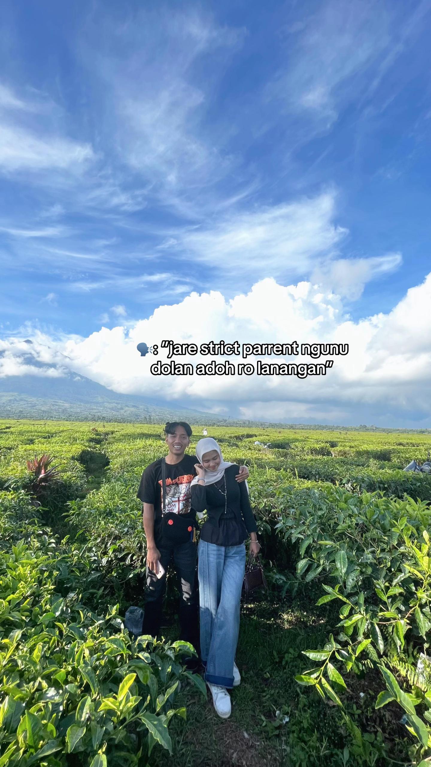 @licawww
