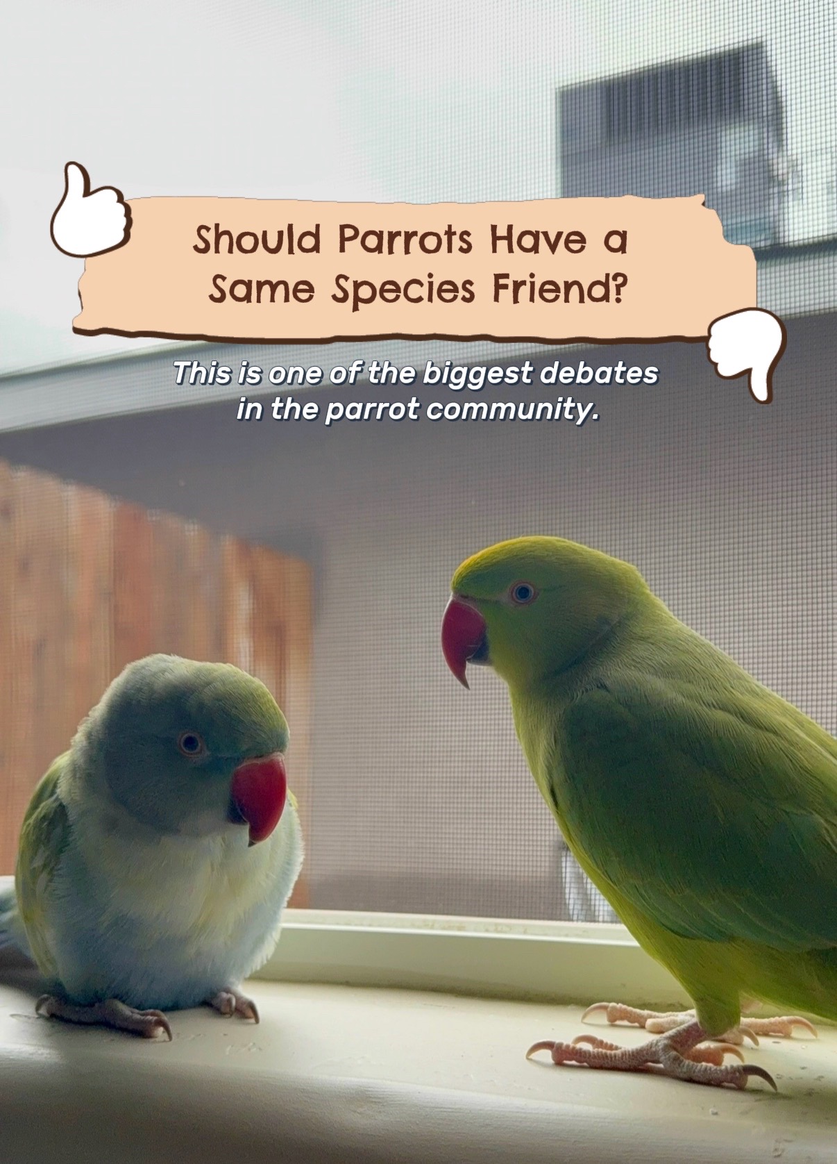 @sipandsquawk