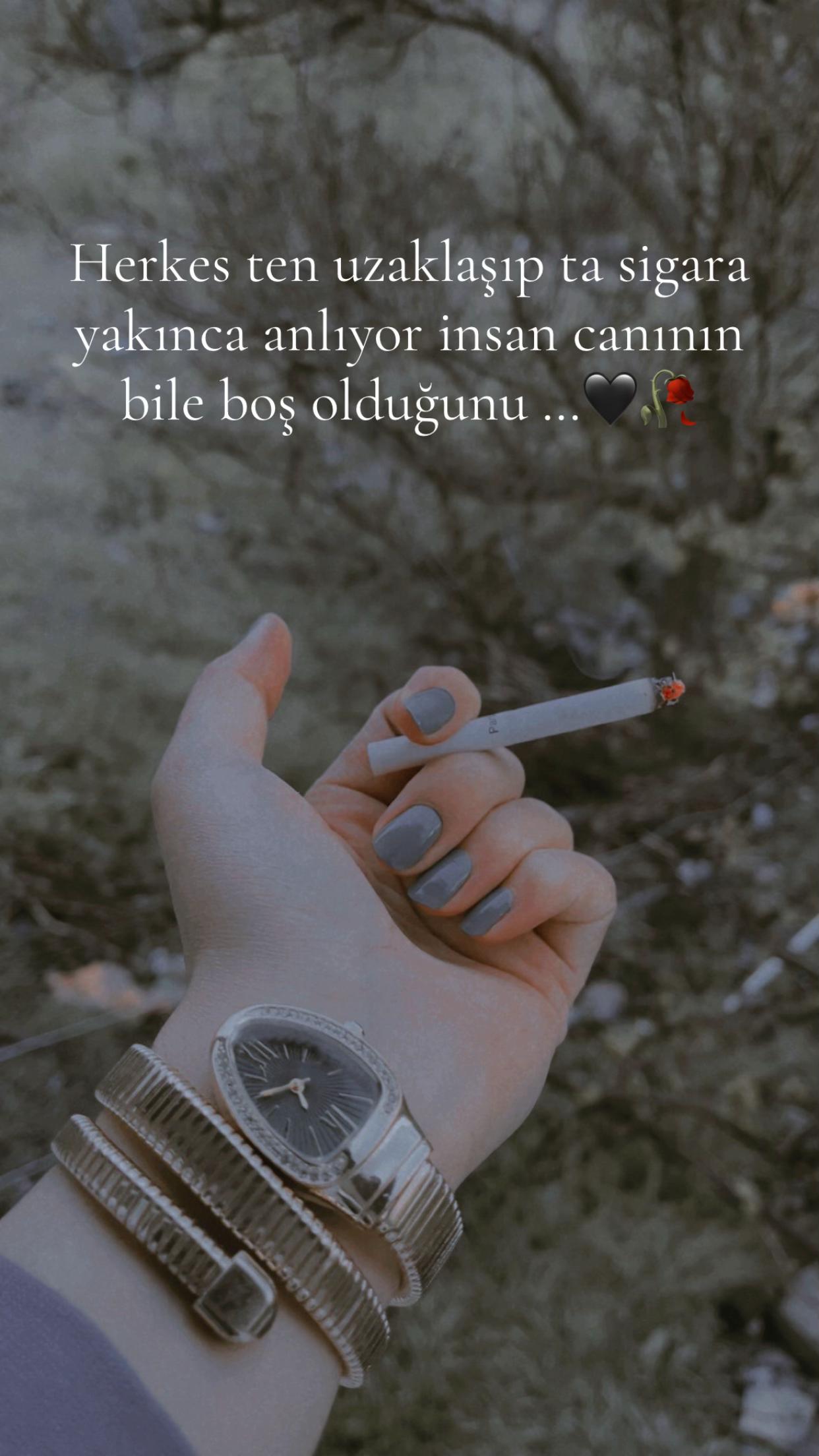 @❤️🩹buzlar kraliçesi.35❤️🩹