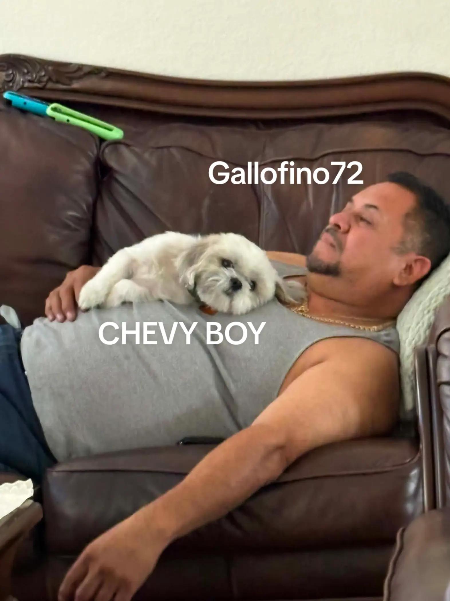 @ElGalloFino