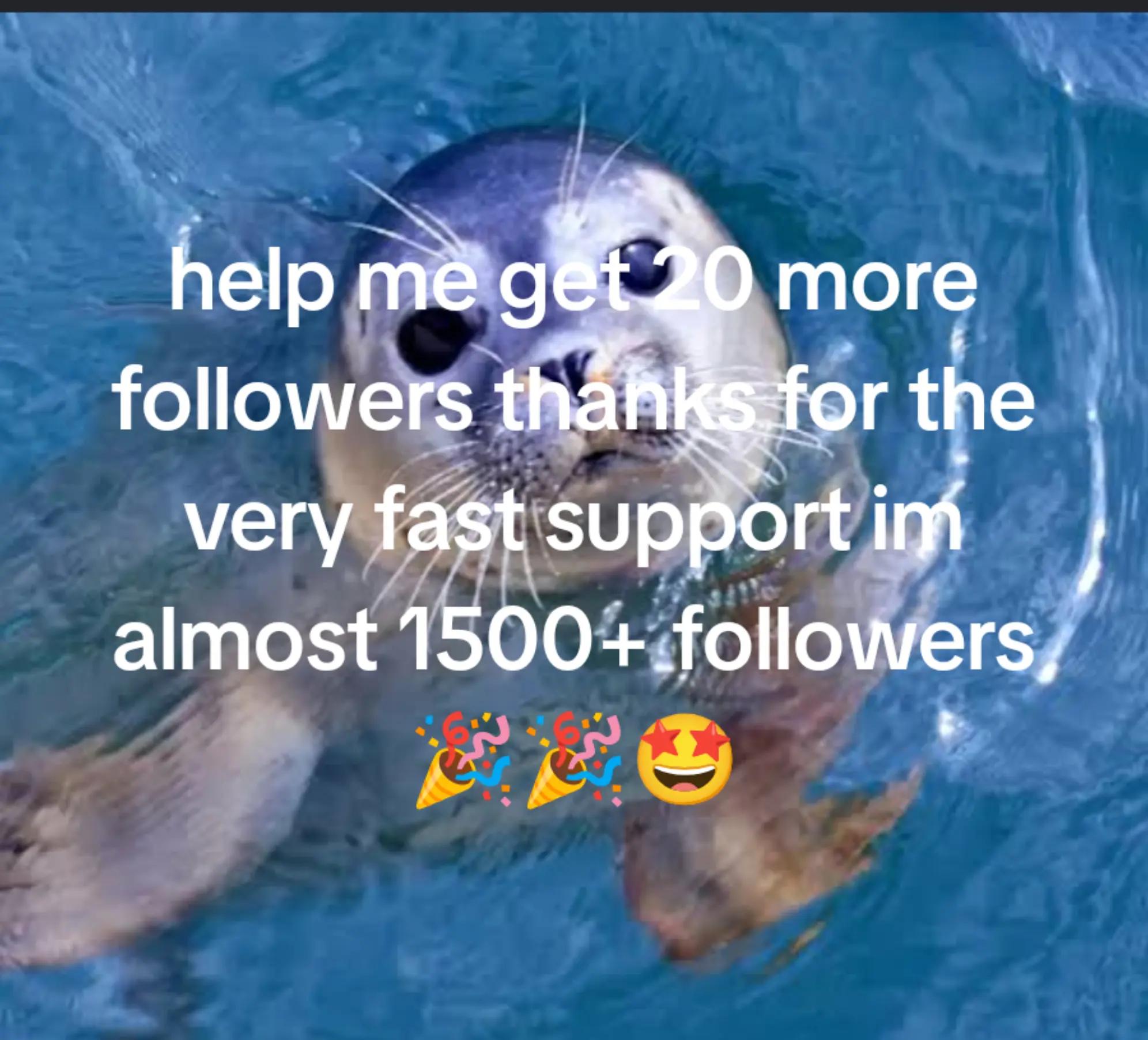 @sealotter_rants