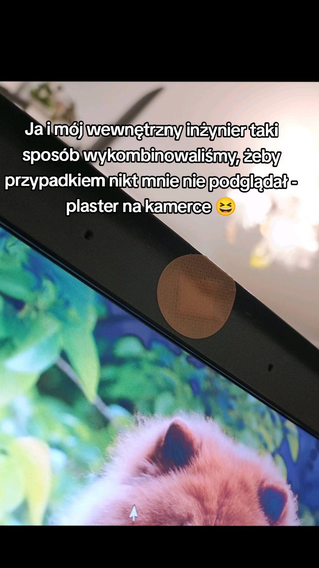 @Veronica Lucy