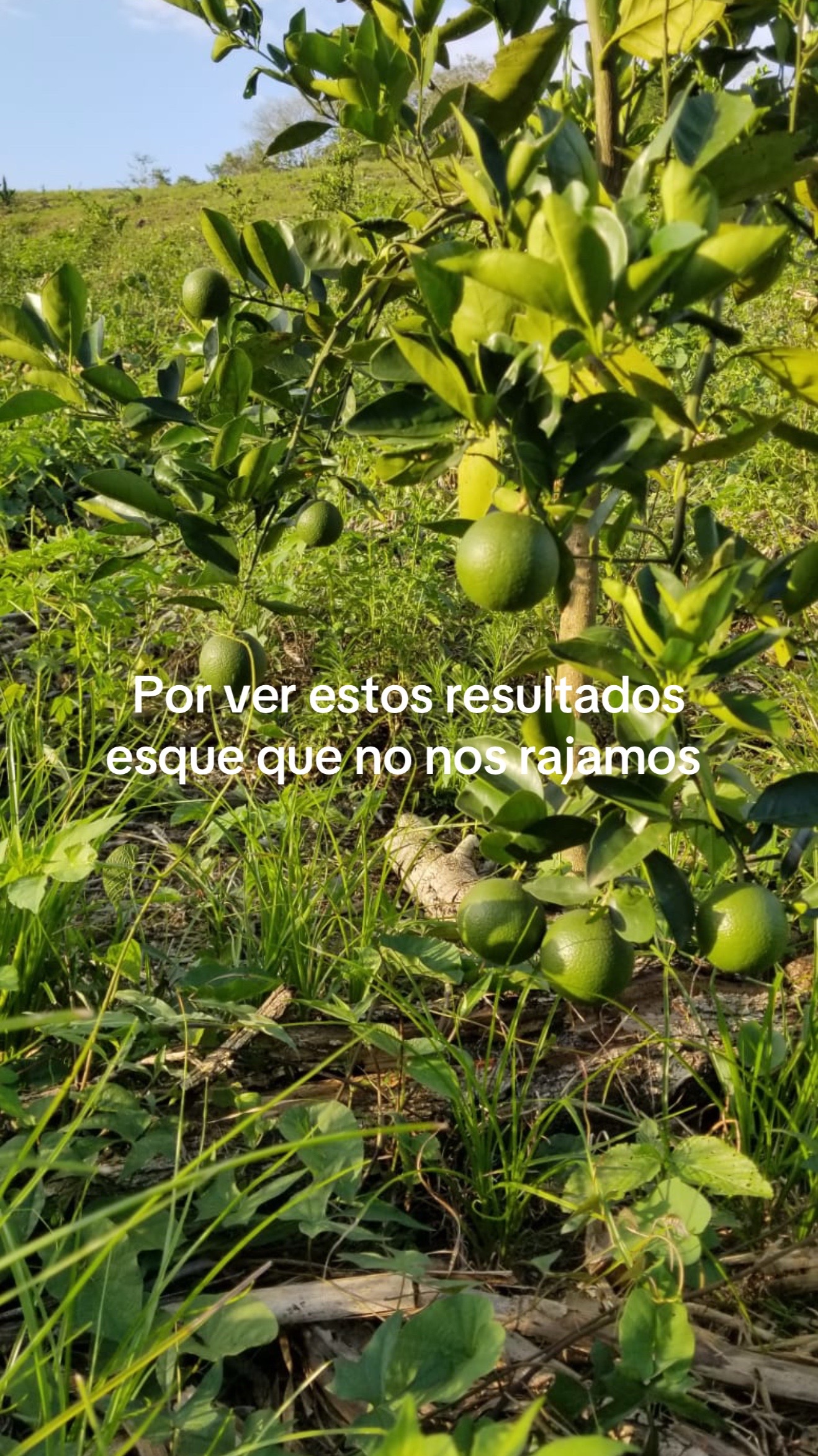 @el pay