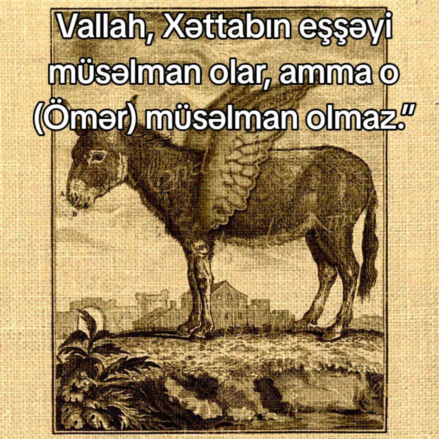 @M&Uuml;CAHİD ŞİƏ ___313