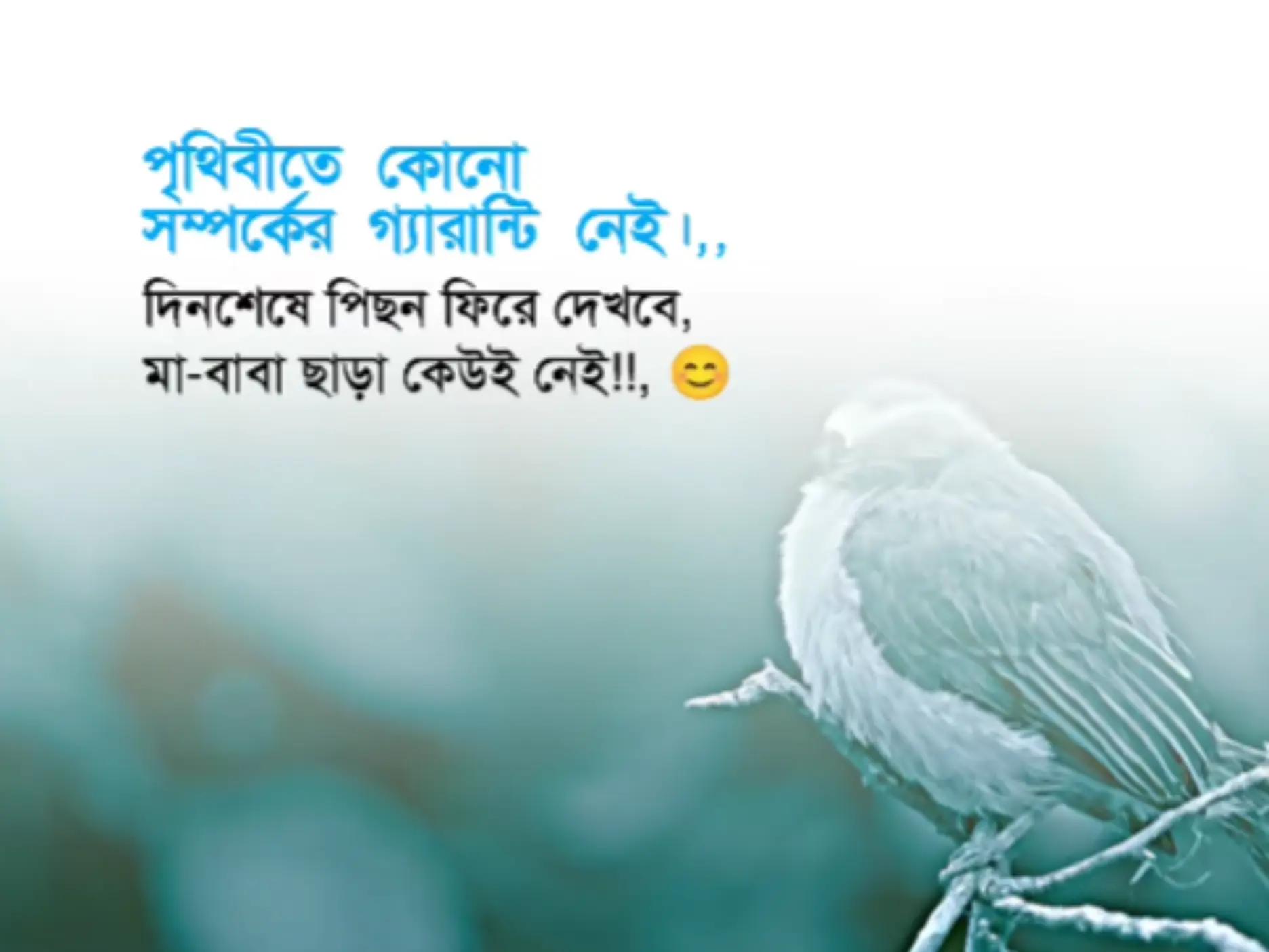 @F.MAHBUB