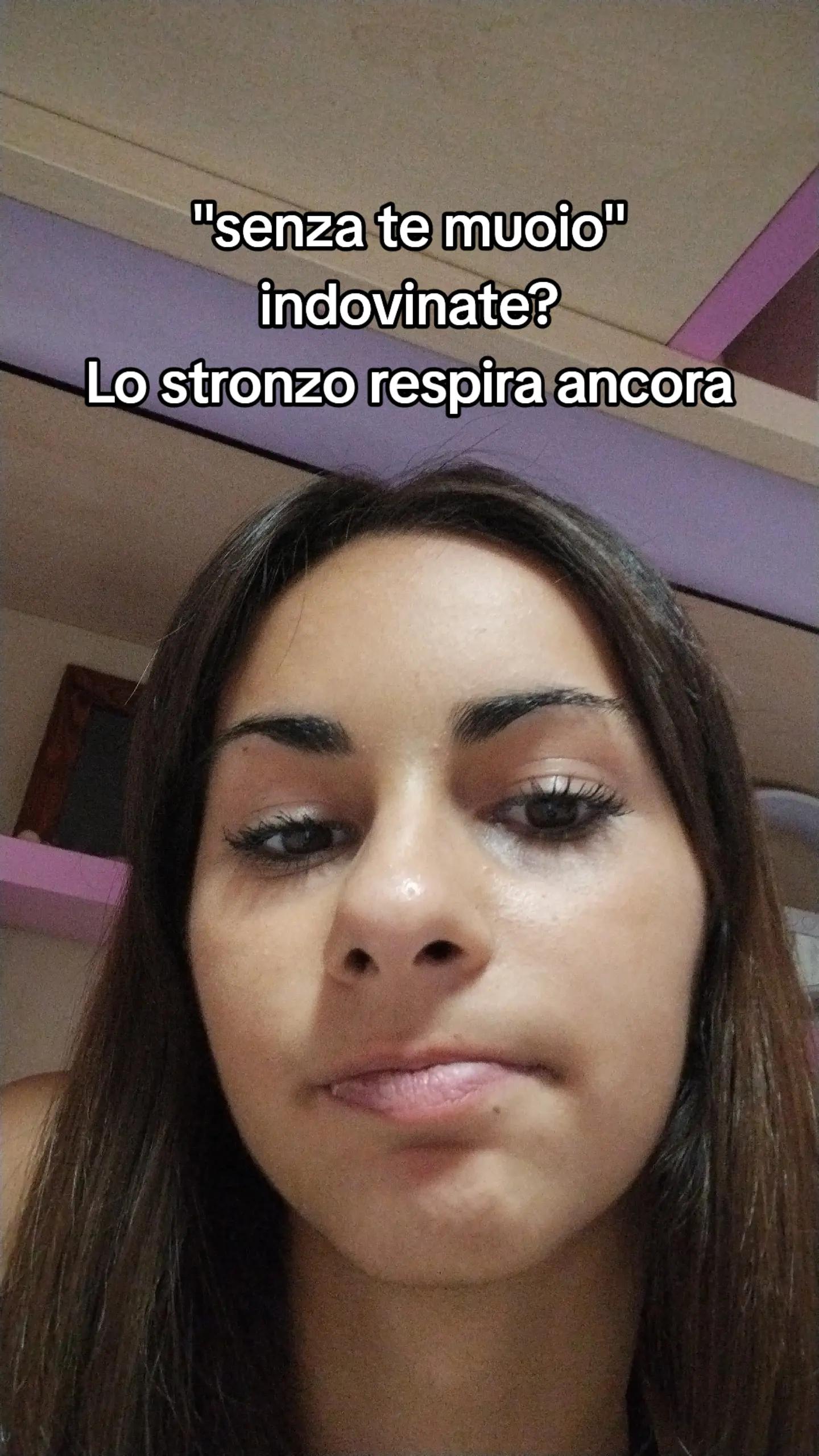 @fedd