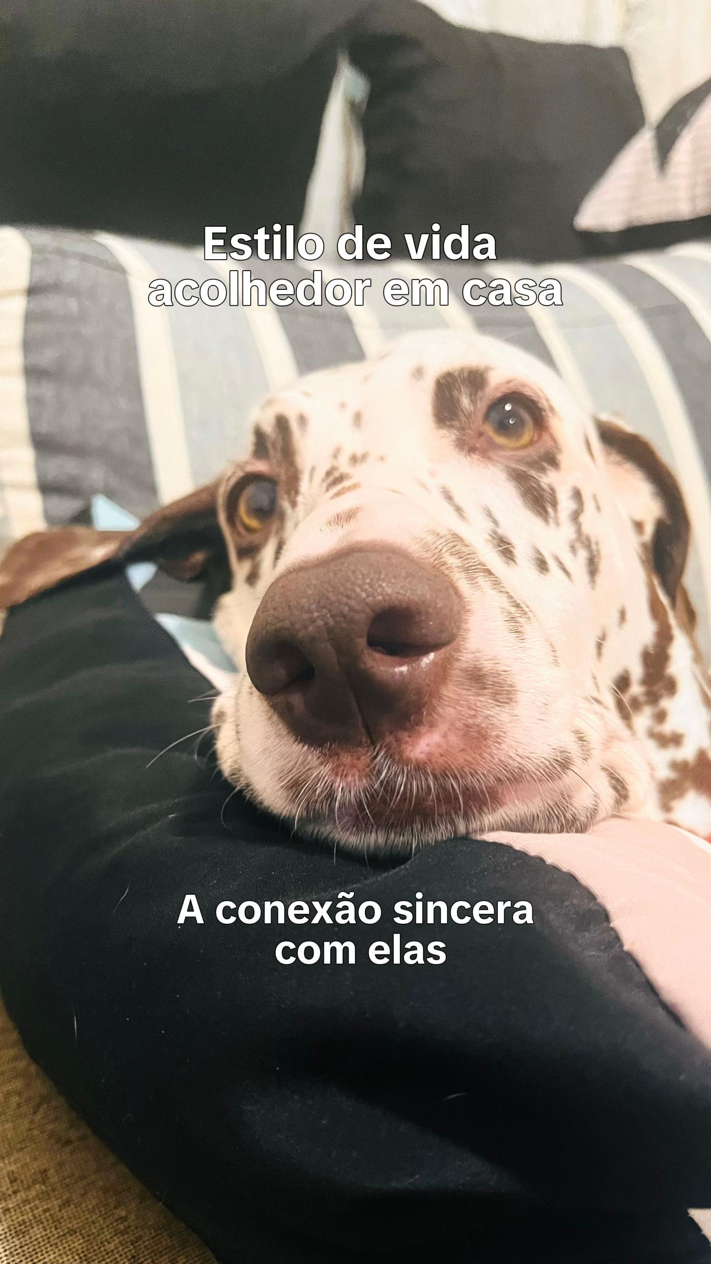 @Margô e Jude