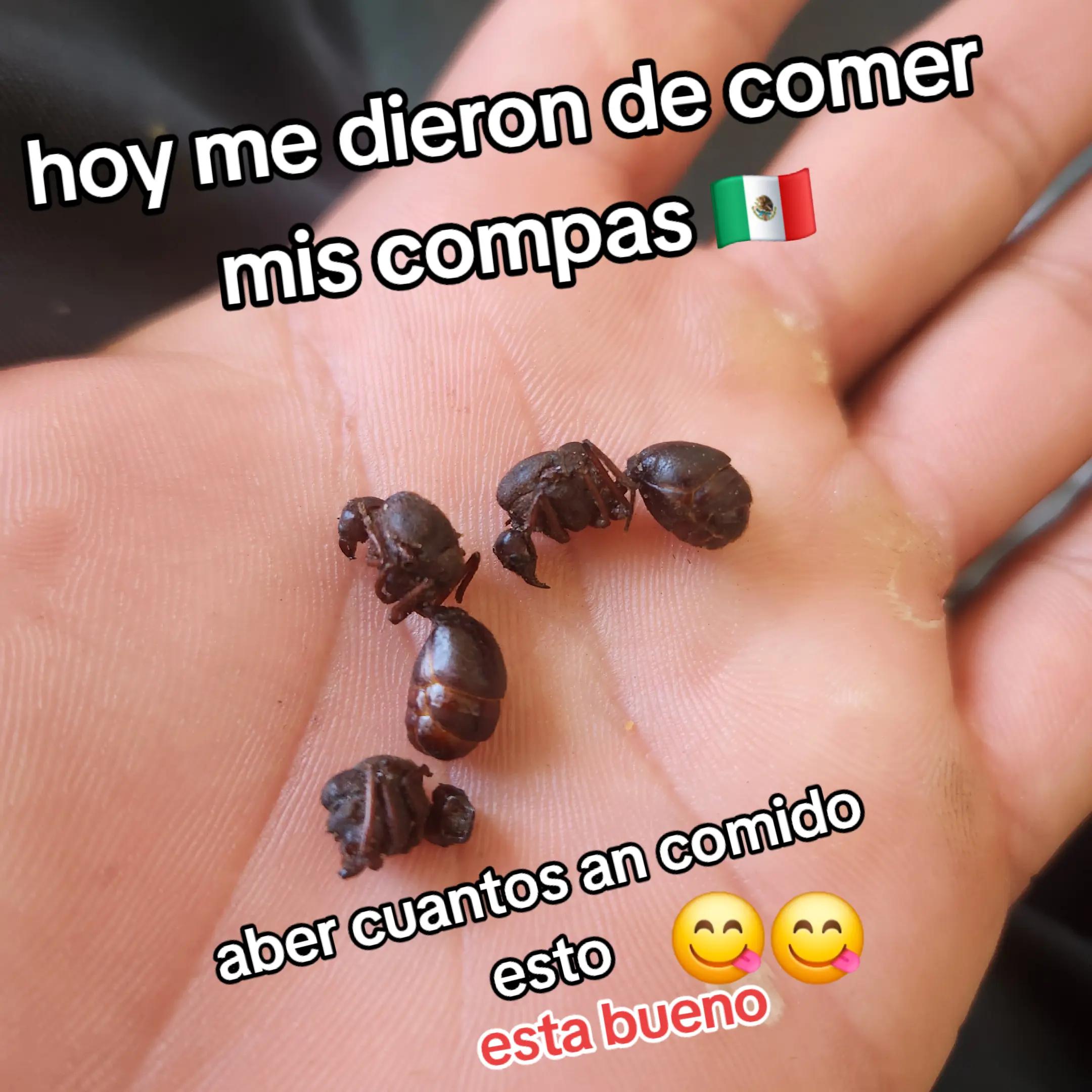 @chocoyo N&uacute;&ntilde;ez🇭🇳&hearts;️🦂