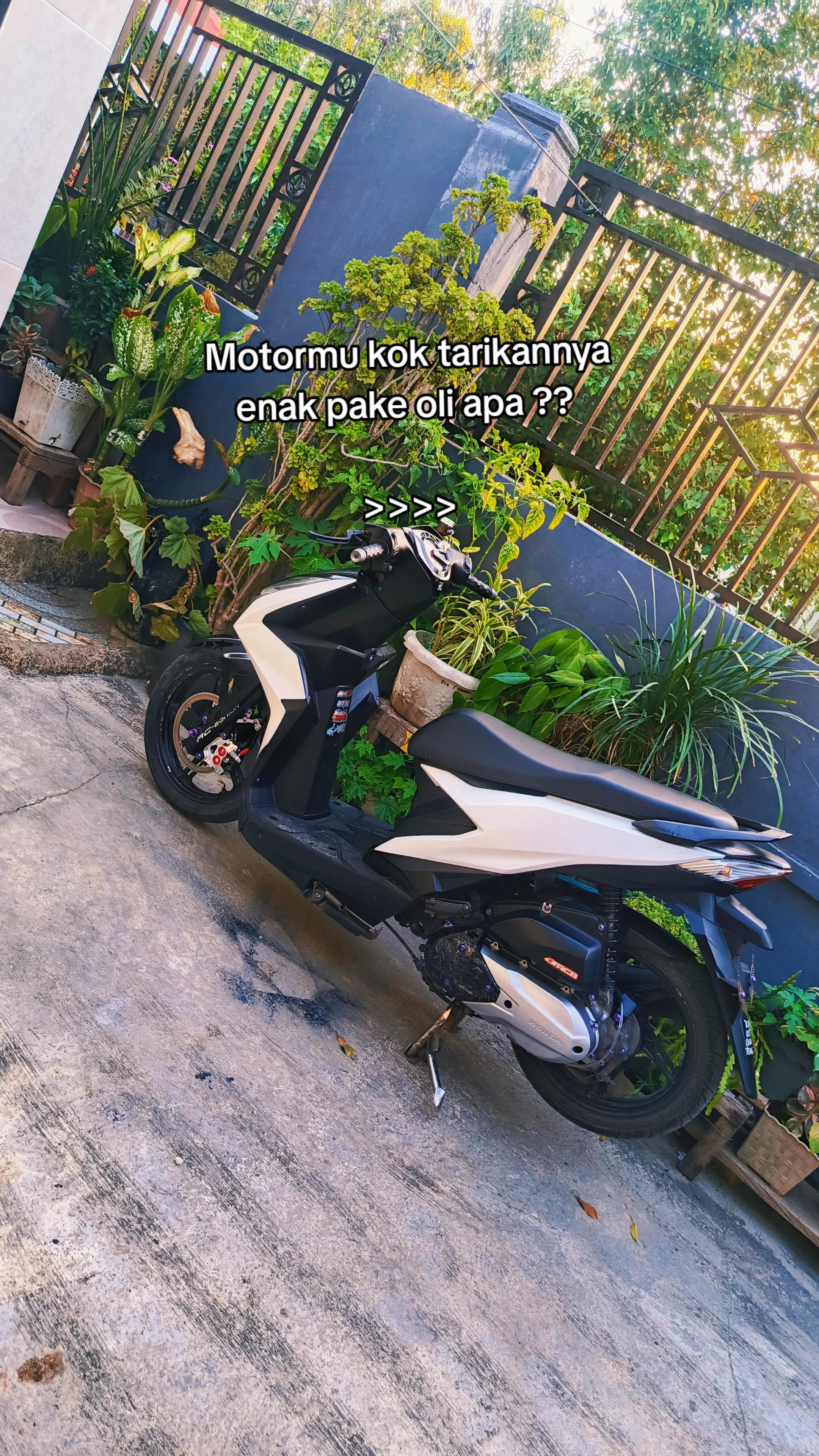 @๐๐๐ฅ๐ณ๐ณ โท Xιาฝษพυ ` โก