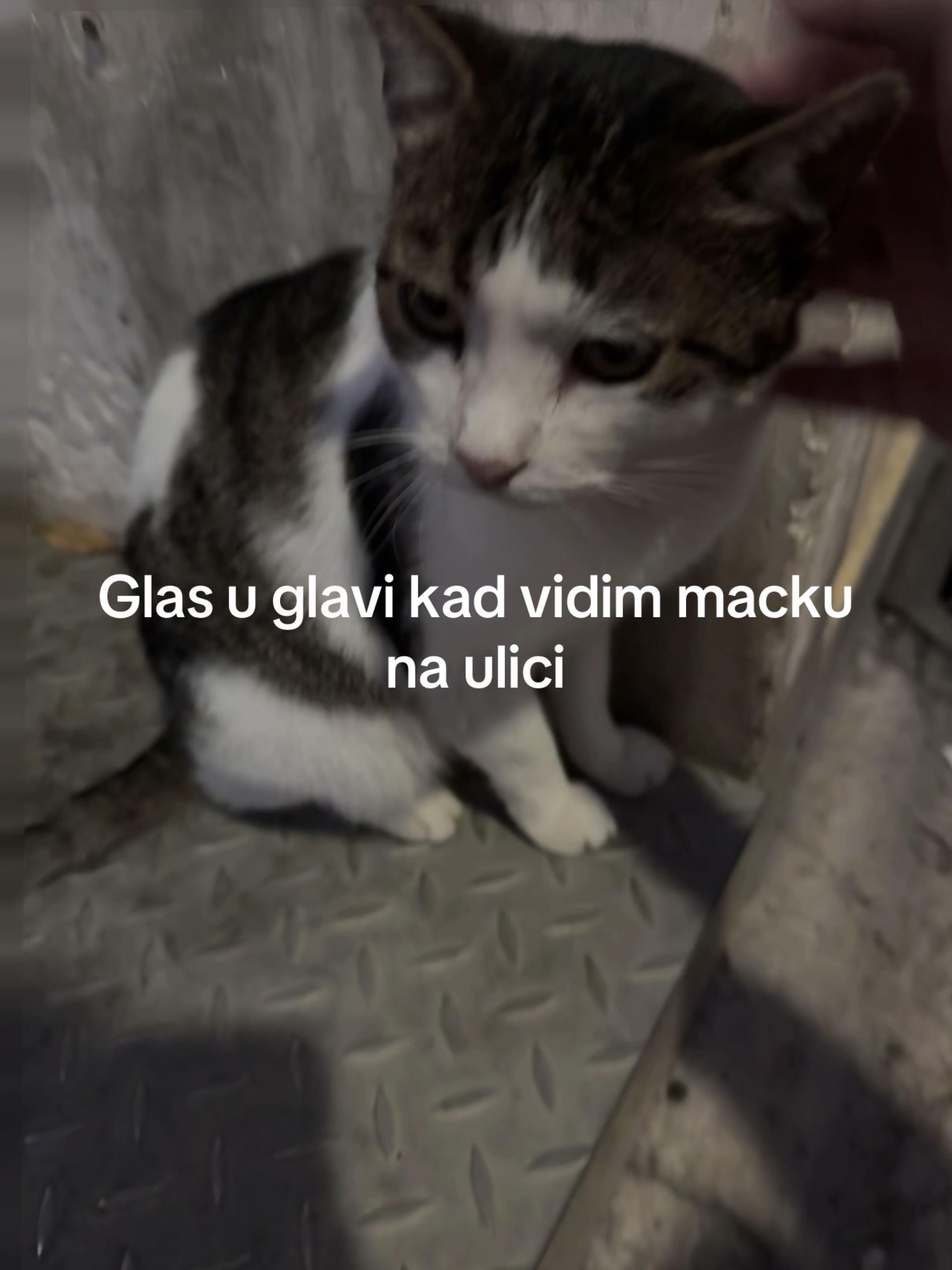 @Vanesa ๐