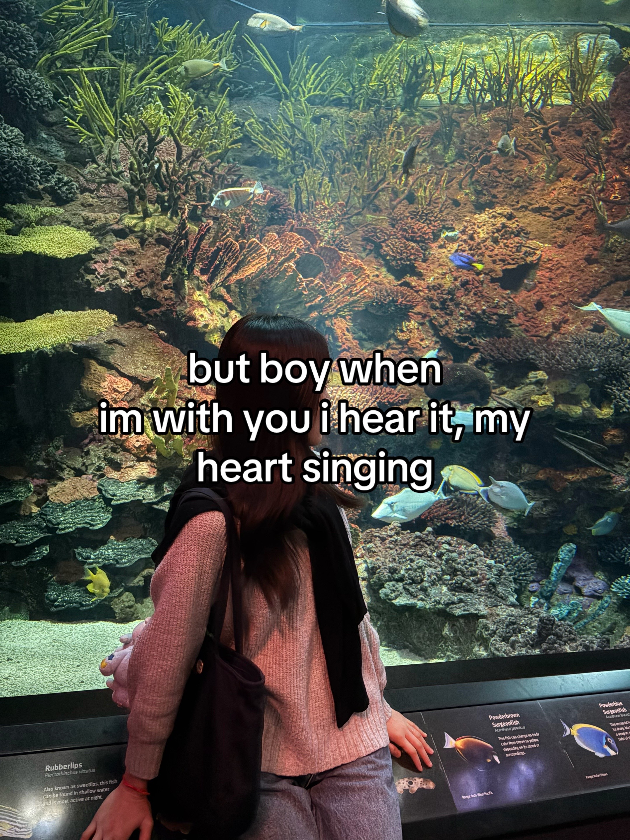 @傻逼