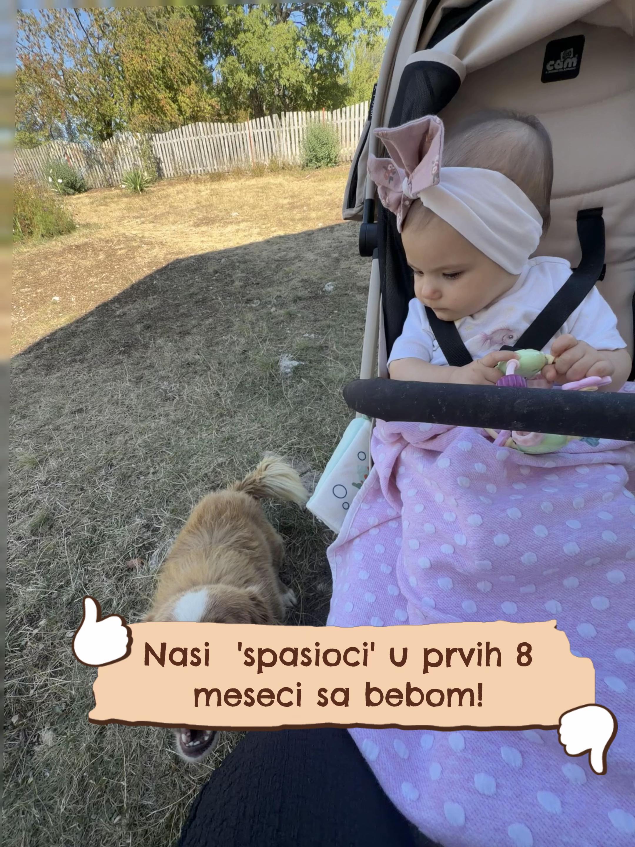 @Gashanaa