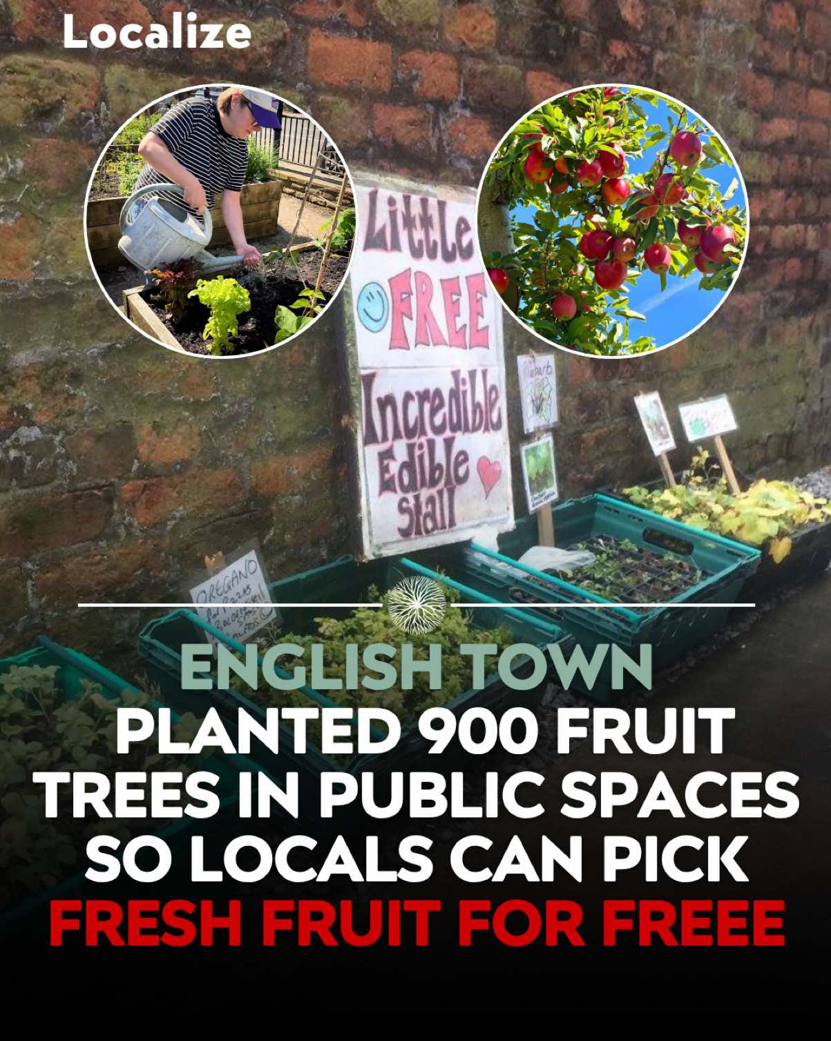 @Localize - Farmers Market