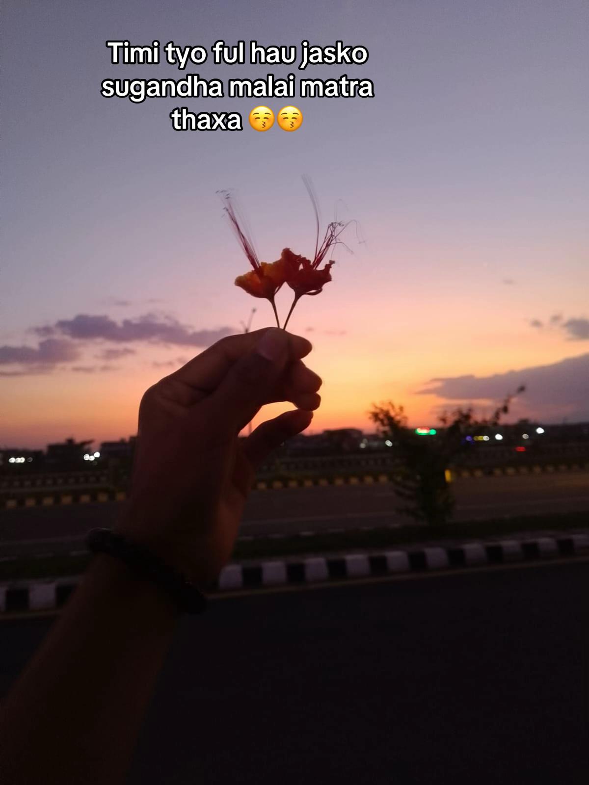 @brsh