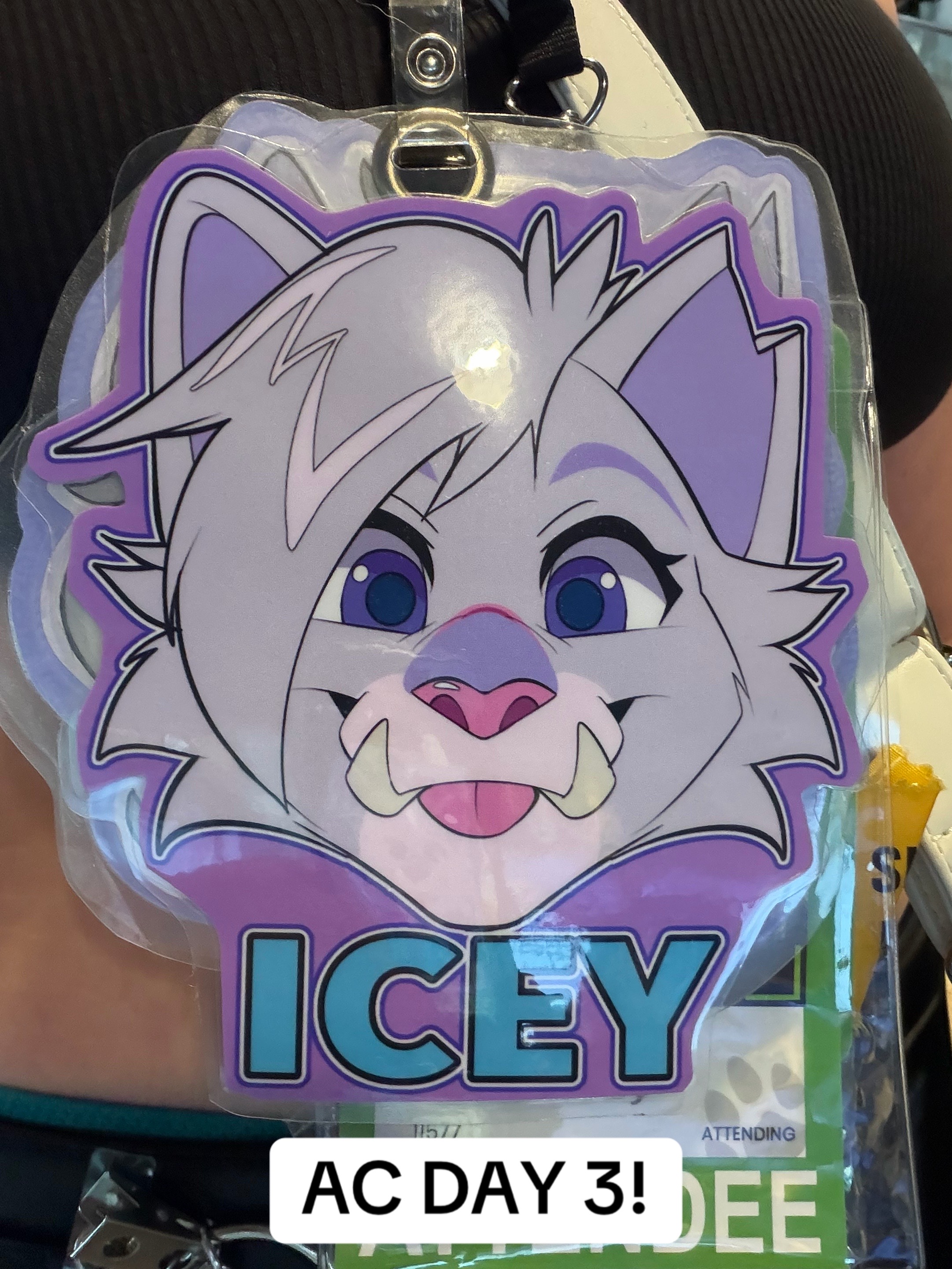 @Icey 🔜 MP 2026