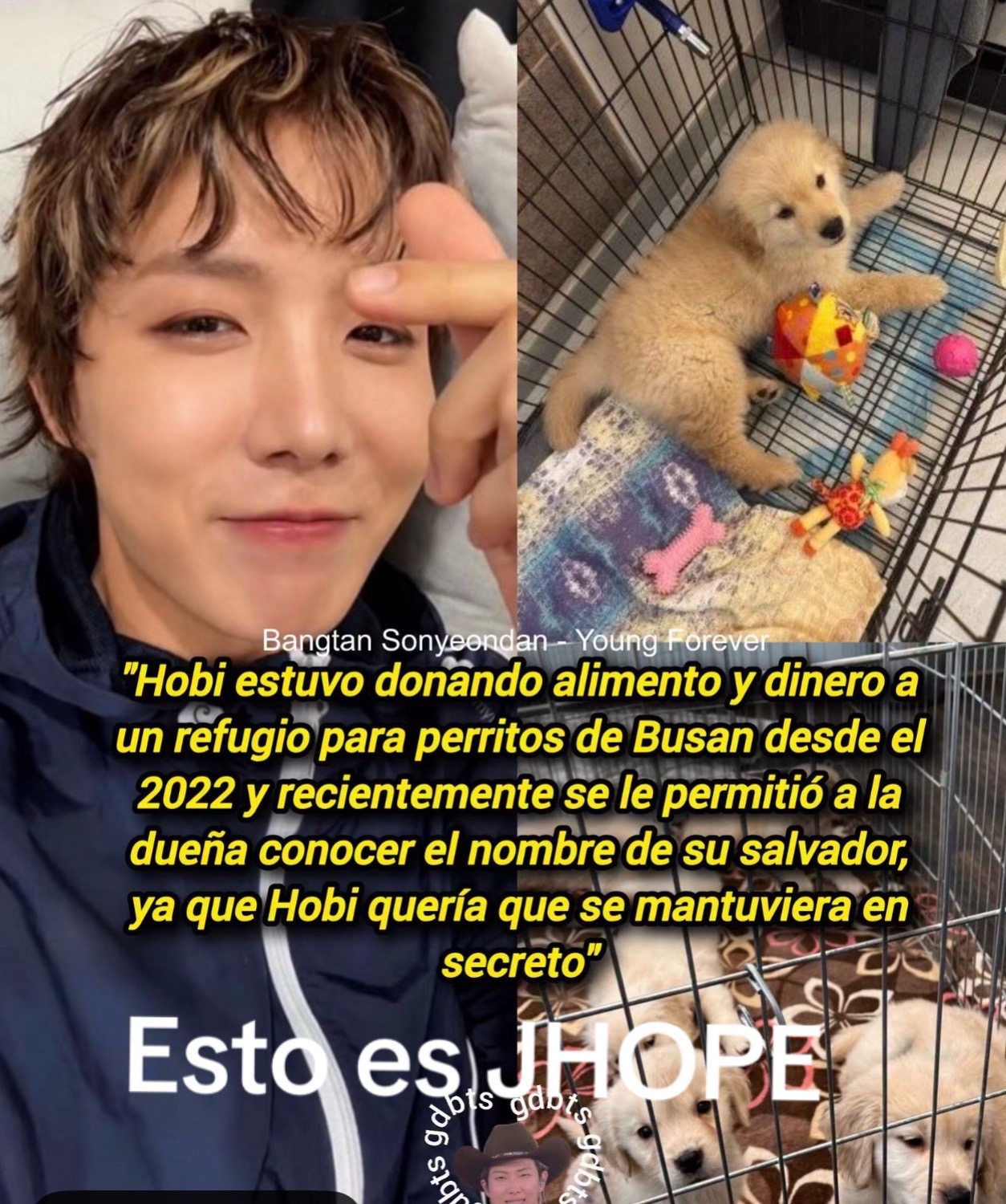 @Blanca BTS