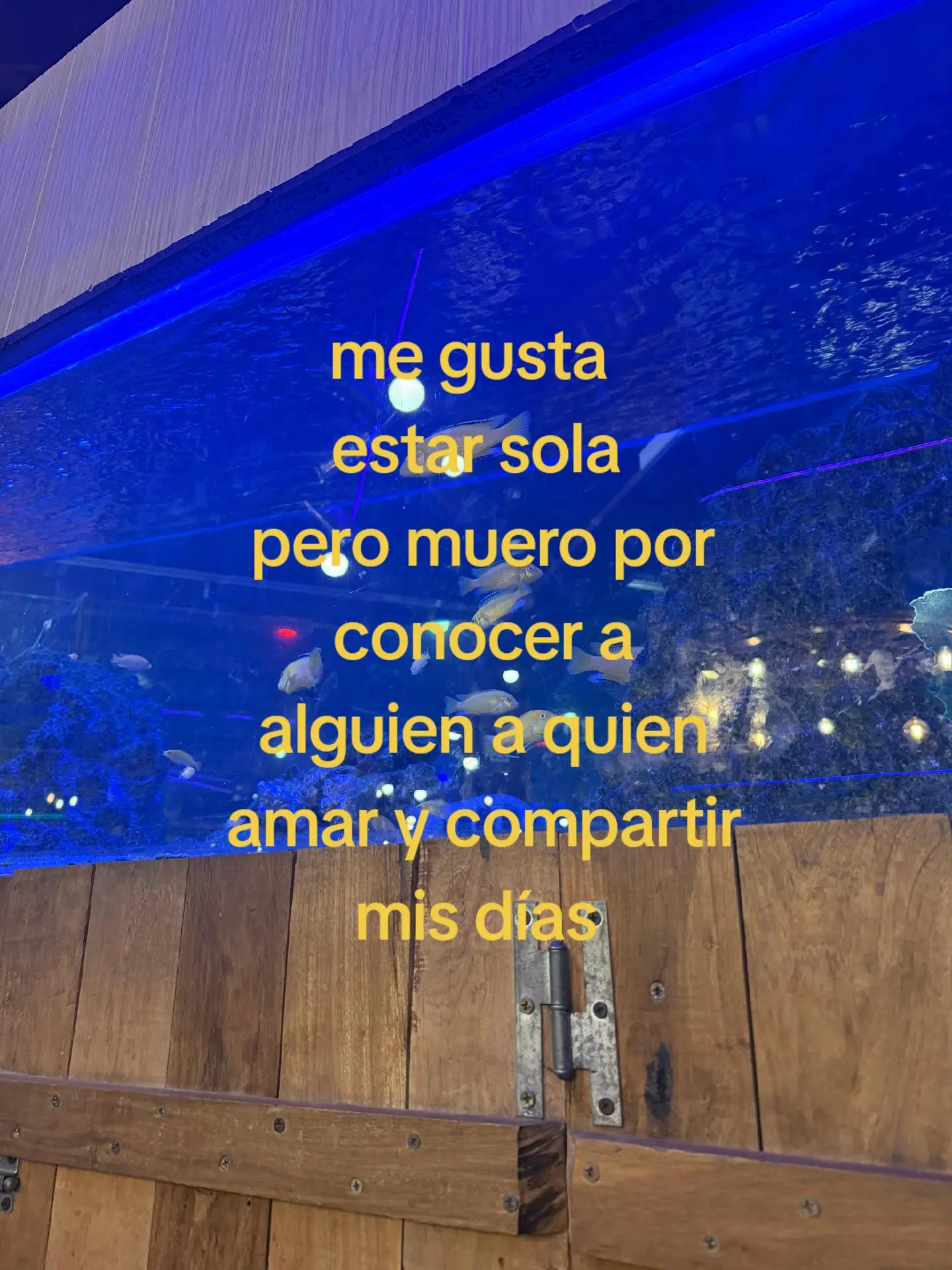 @secreetttfii