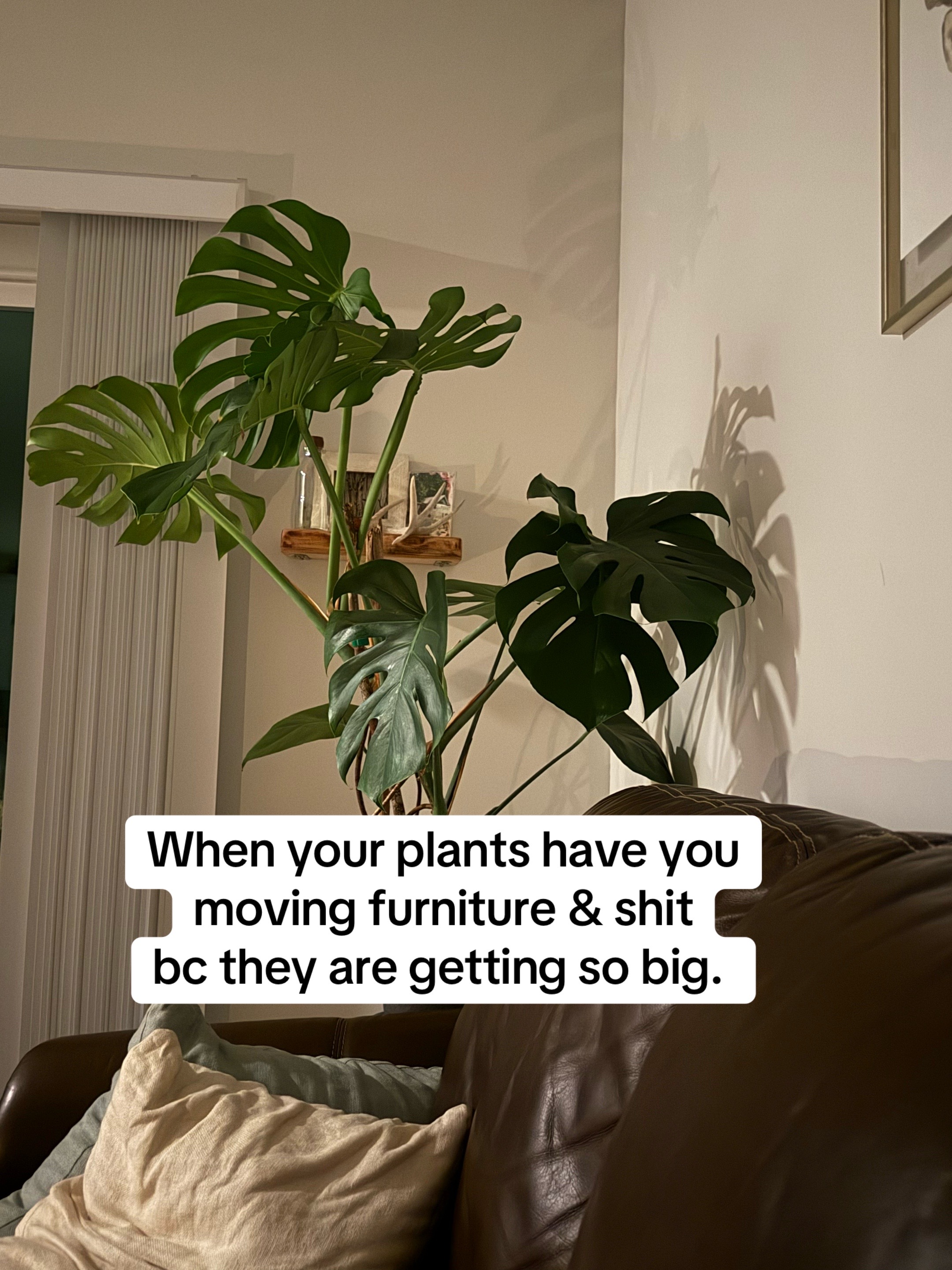 @F.Y.J.I.M.O.