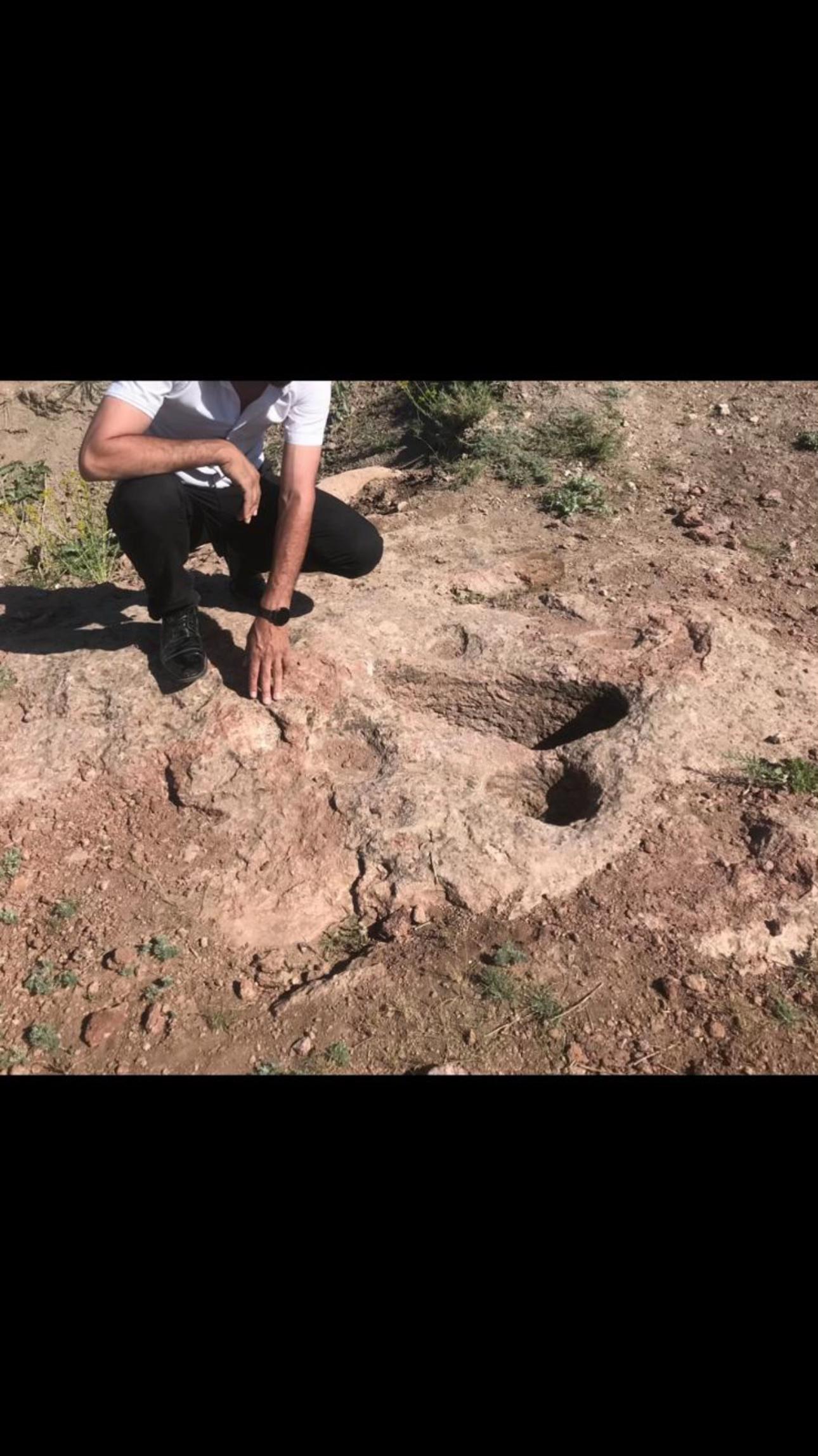 @Dural eğriboyun