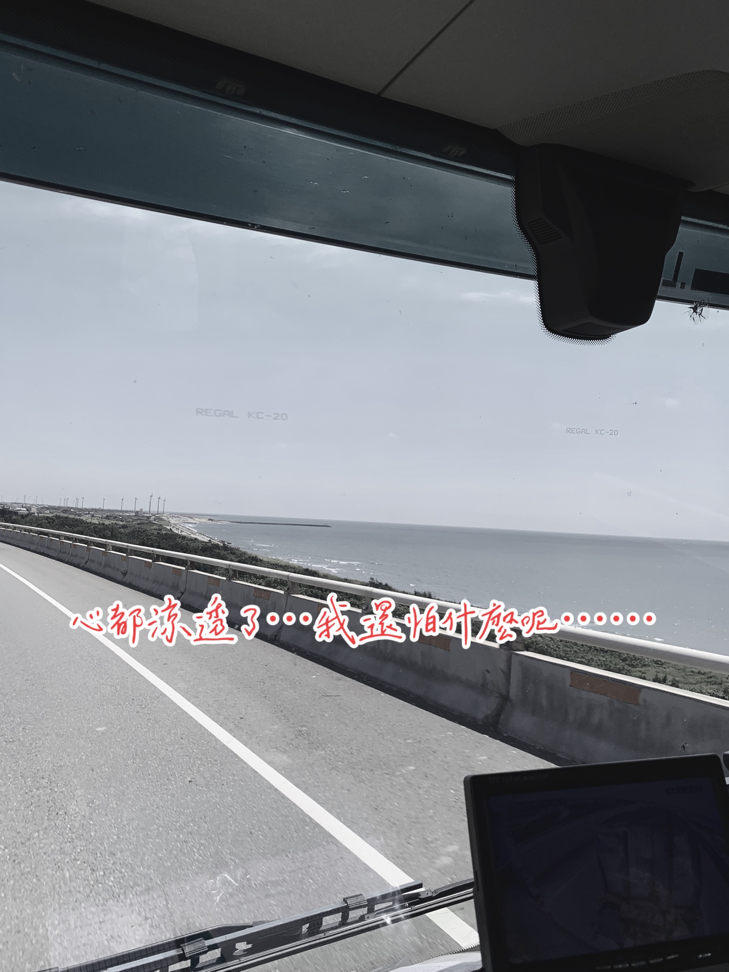 @抖陣聯盟/741殺豬🐻