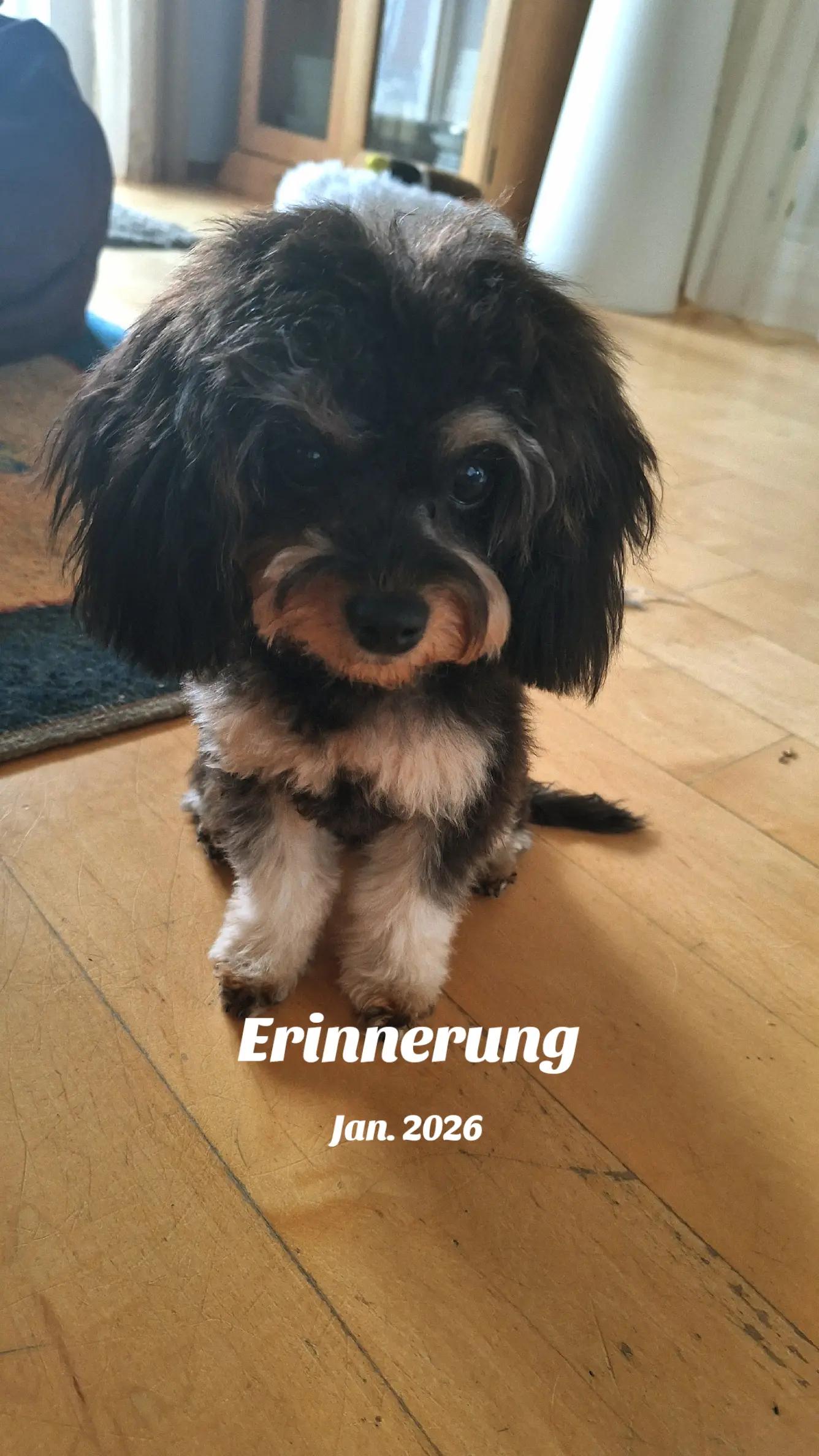 @Bine ᥫ᭡
