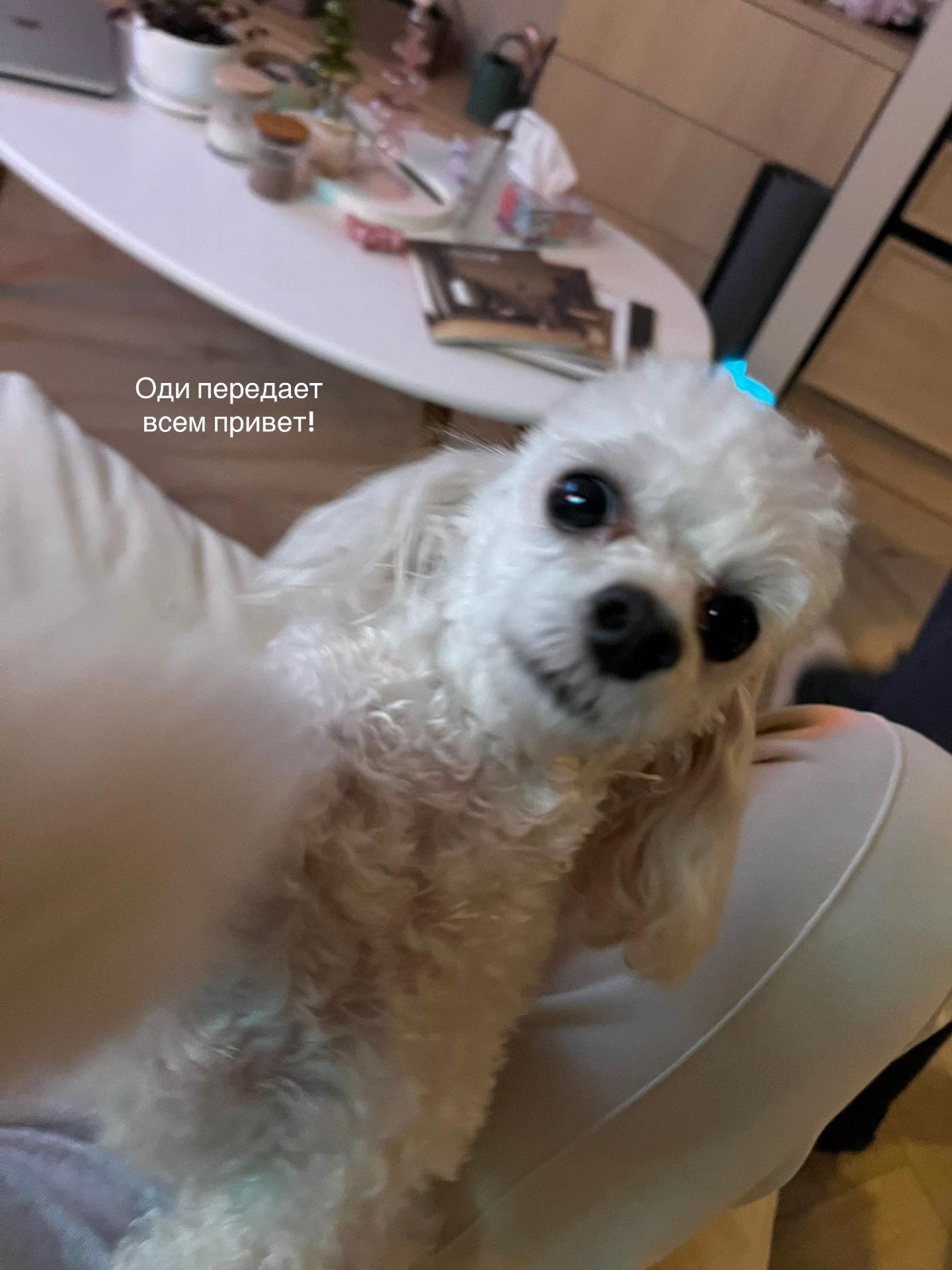 @sofi