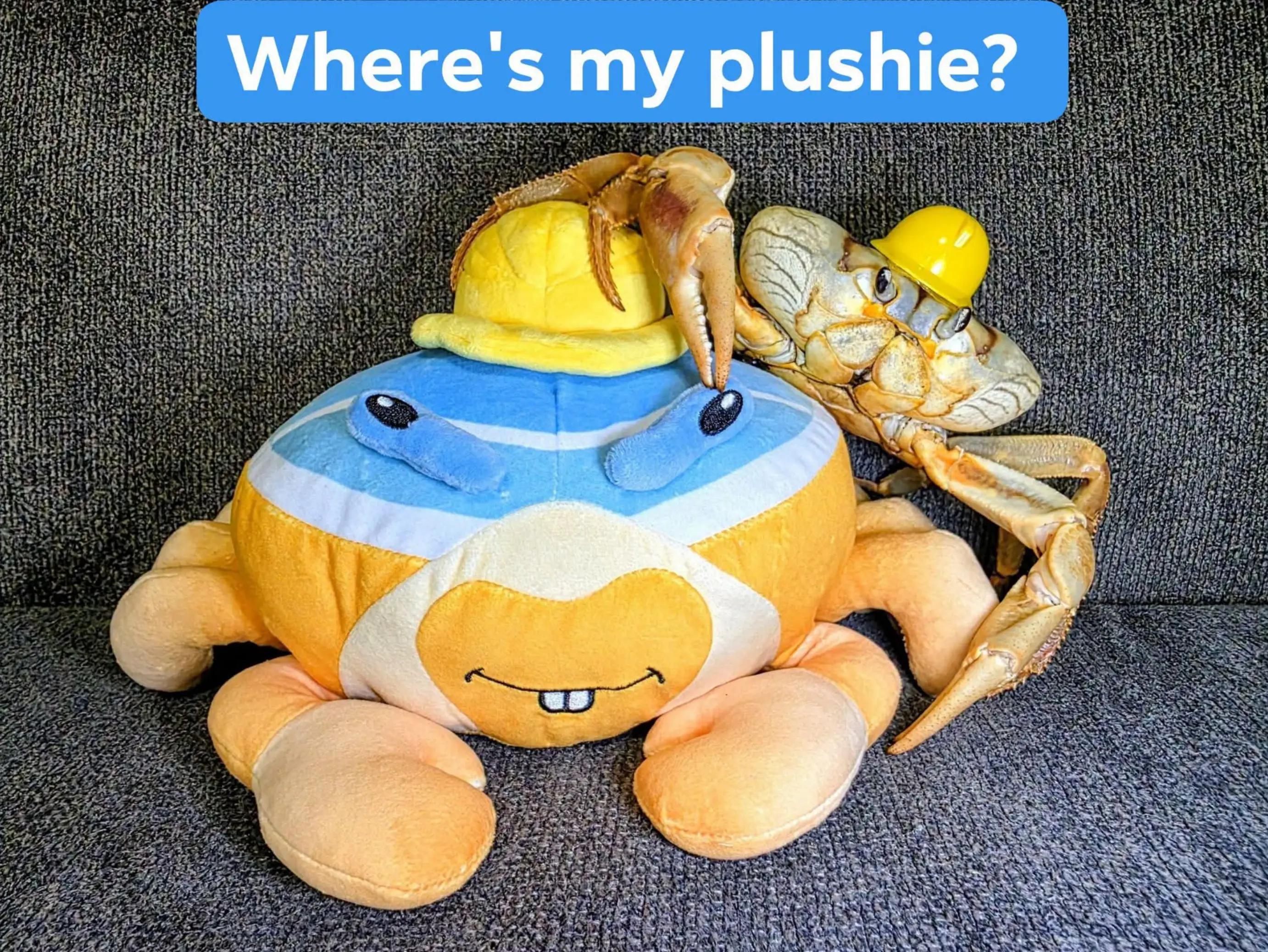 @Howie The Crab