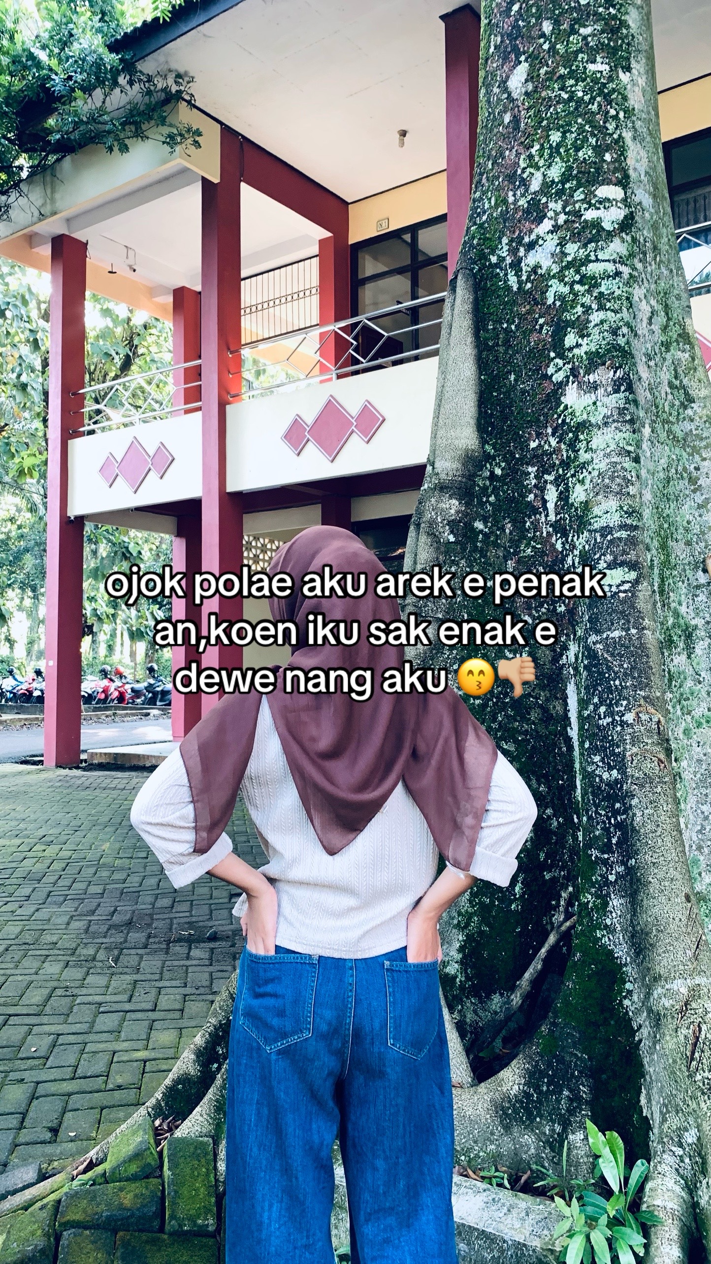@bdlusenggolbacok2